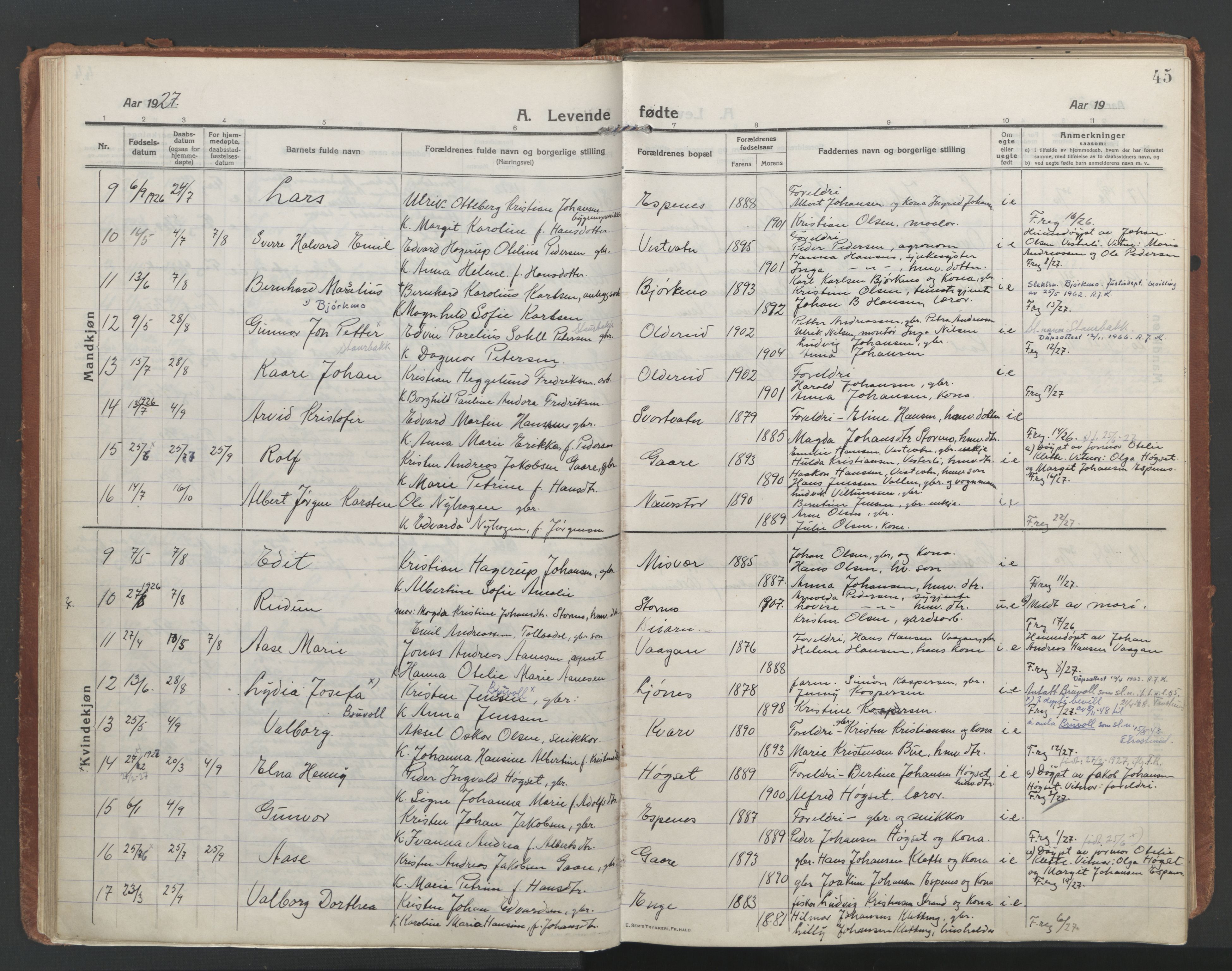 Ministerialprotokoller, klokkerbøker og fødselsregistre - Nordland, AV/SAT-A-1459/852/L0748: Ministerialbok nr. 852A18, 1913-1932, s. 45