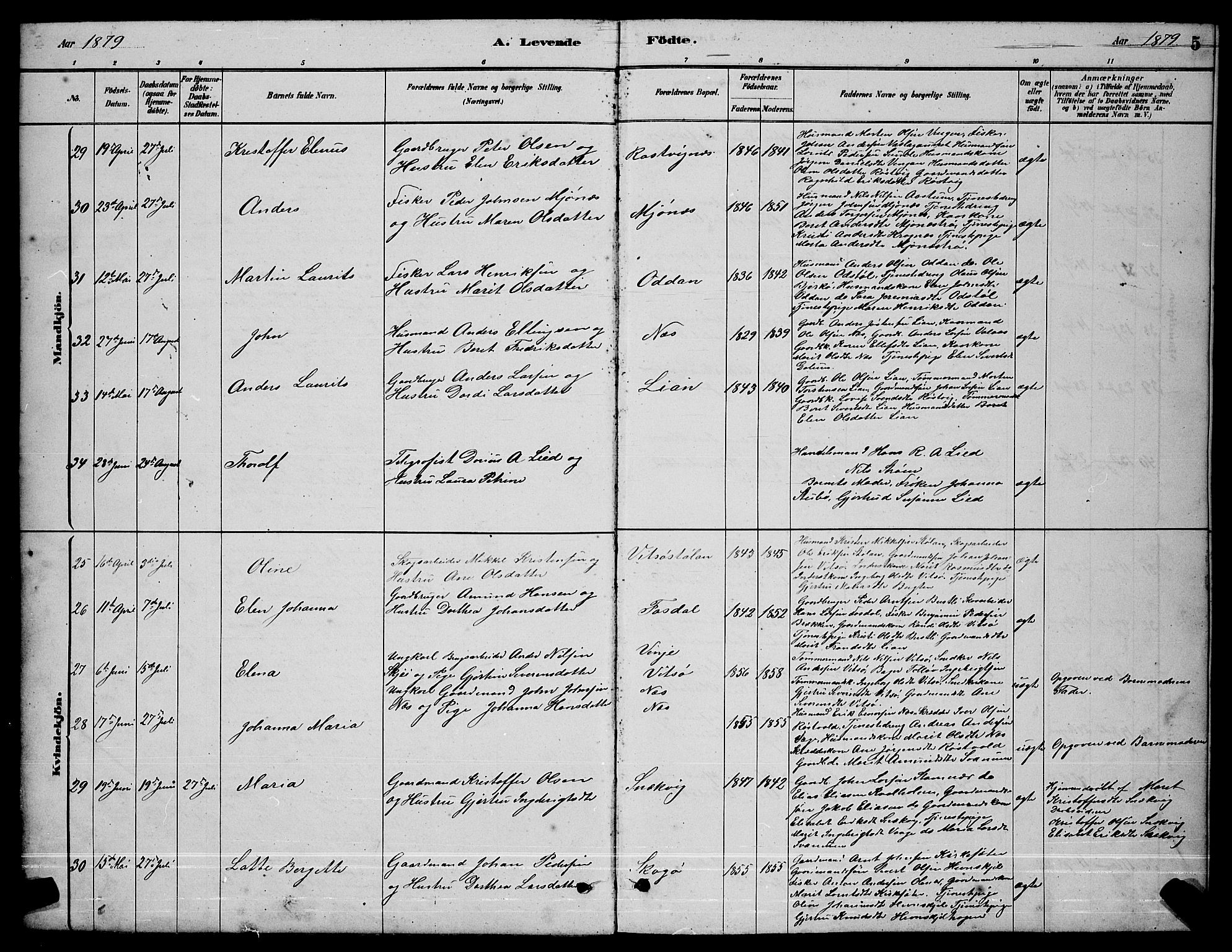 Ministerialprotokoller, klokkerbøker og fødselsregistre - Sør-Trøndelag, AV/SAT-A-1456/630/L0504: Klokkerbok nr. 630C02, 1879-1898, s. 5