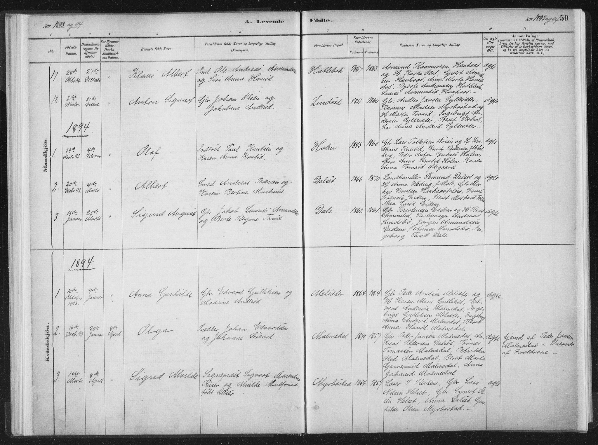 Ministerialprotokoller, klokkerbøker og fødselsregistre - Møre og Romsdal, SAT/A-1454/564/L0740: Ministerialbok nr. 564A01, 1880-1899, s. 59