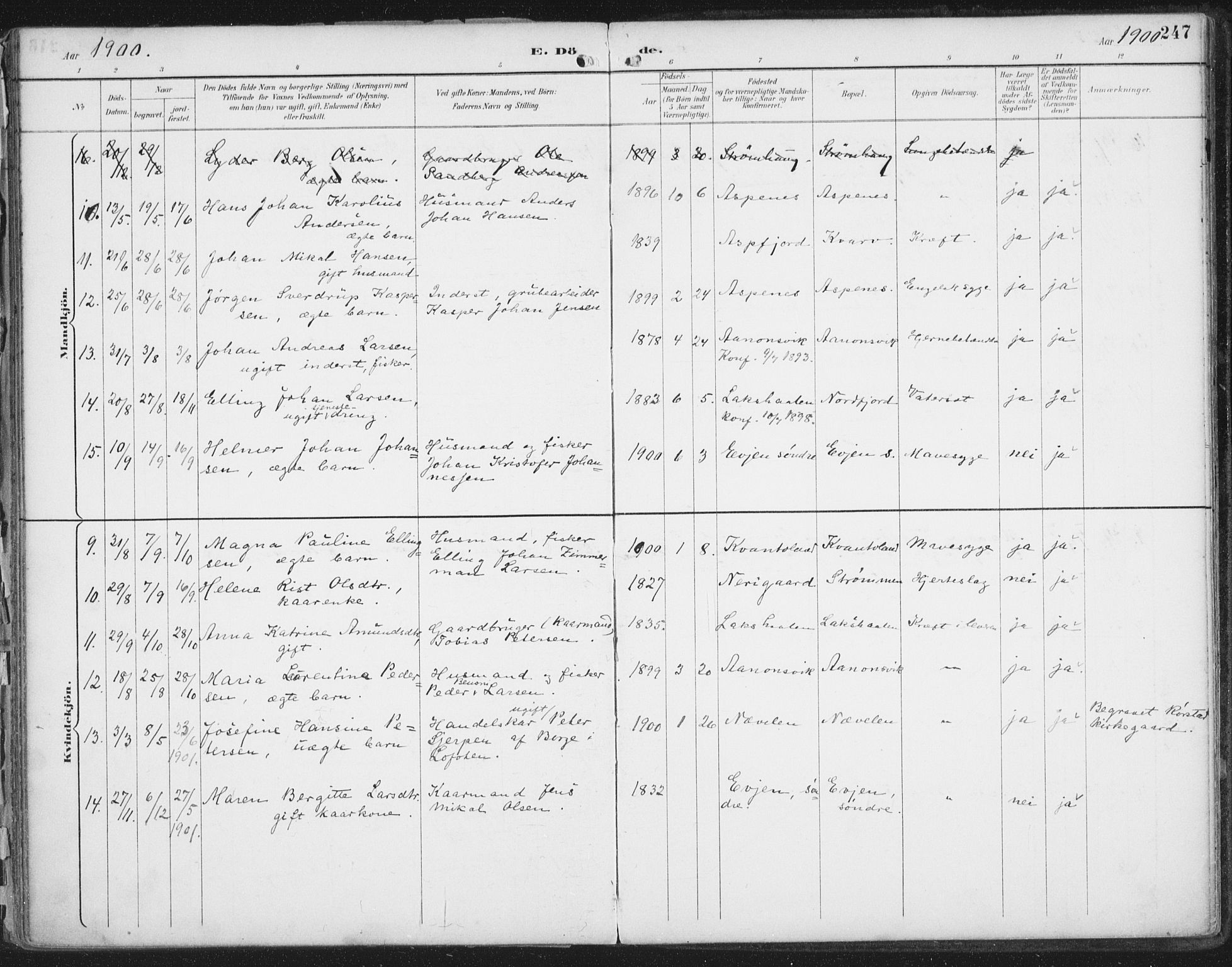 Ministerialprotokoller, klokkerbøker og fødselsregistre - Nordland, AV/SAT-A-1459/854/L0779: Ministerialbok nr. 854A02, 1892-1909, s. 247