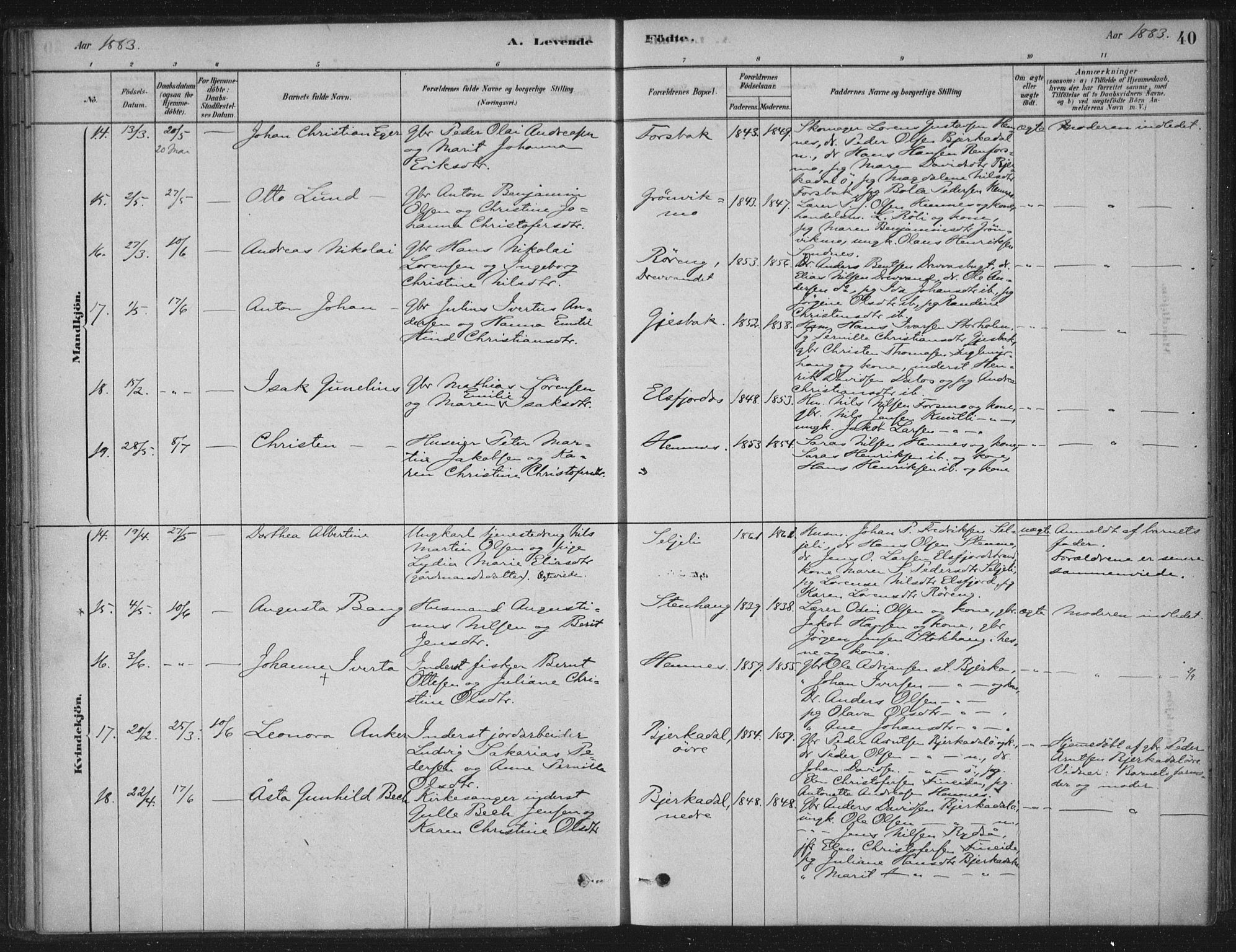 Ministerialprotokoller, klokkerbøker og fødselsregistre - Nordland, SAT/A-1459/825/L0361: Ministerialbok nr. 825A15, 1878-1893, s. 40