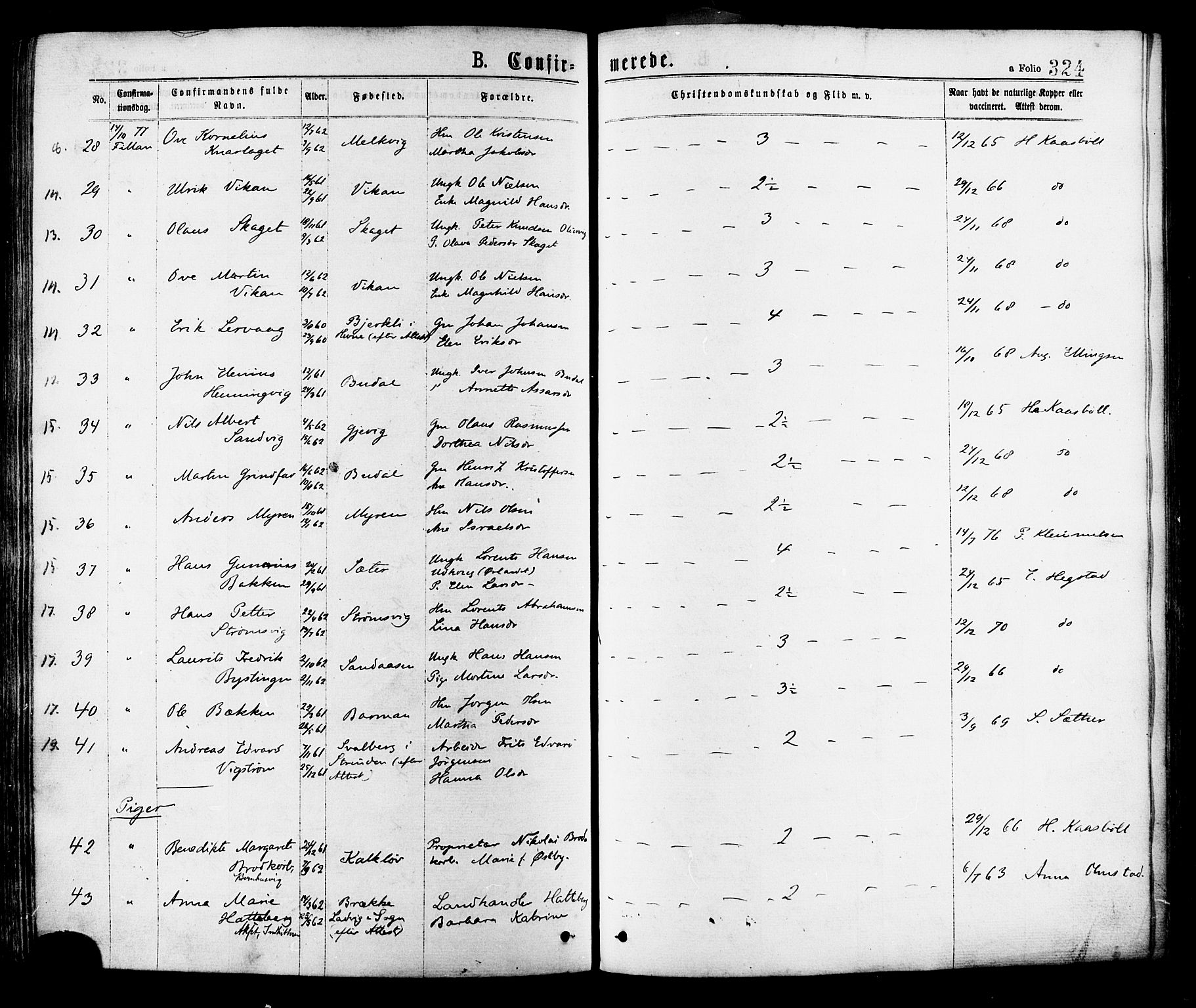 Ministerialprotokoller, klokkerbøker og fødselsregistre - Sør-Trøndelag, SAT/A-1456/634/L0532: Ministerialbok nr. 634A08, 1871-1881, s. 324