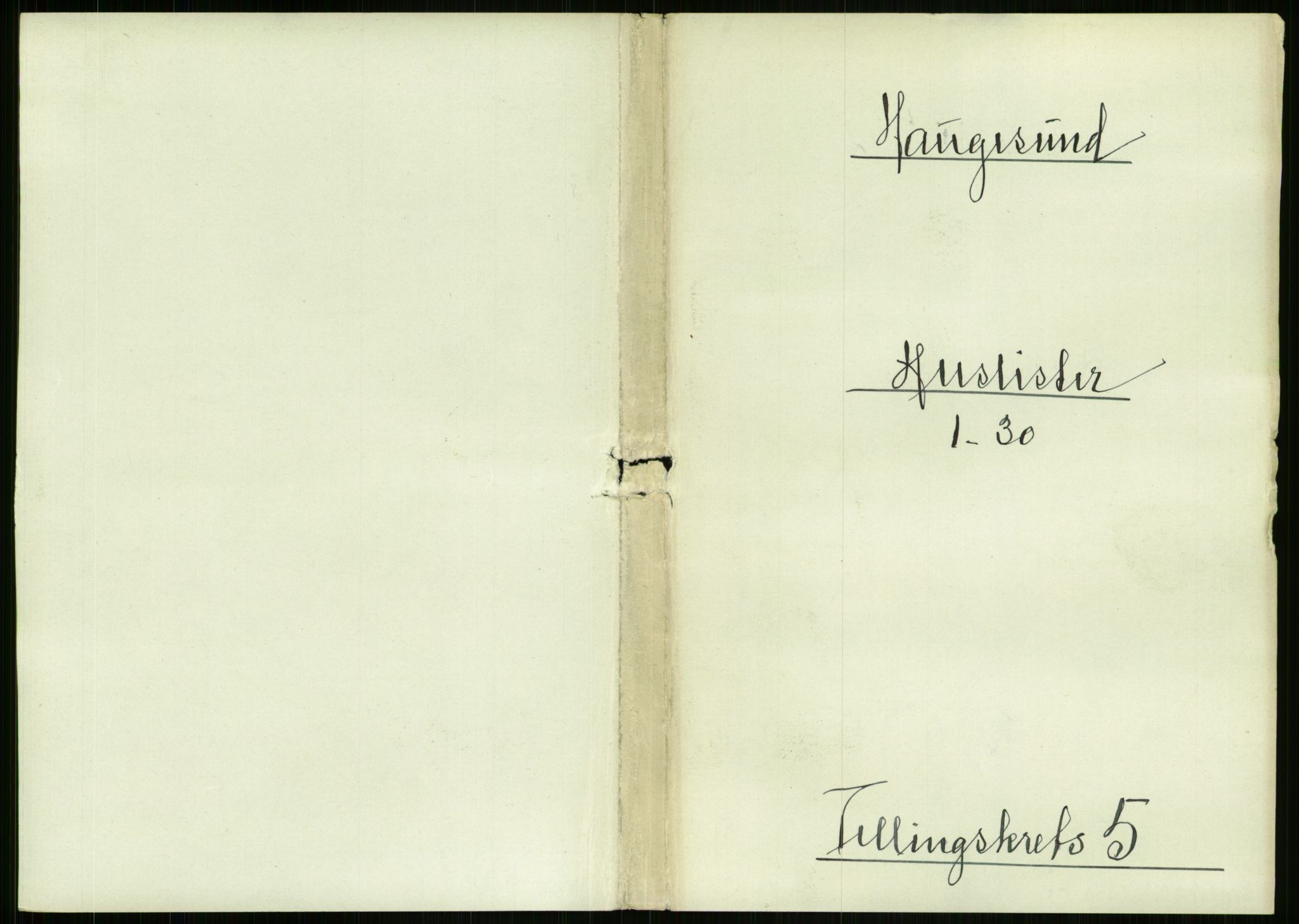 RA, Folketelling 1891 for 1106 Haugesund kjøpstad, 1891, s. 319