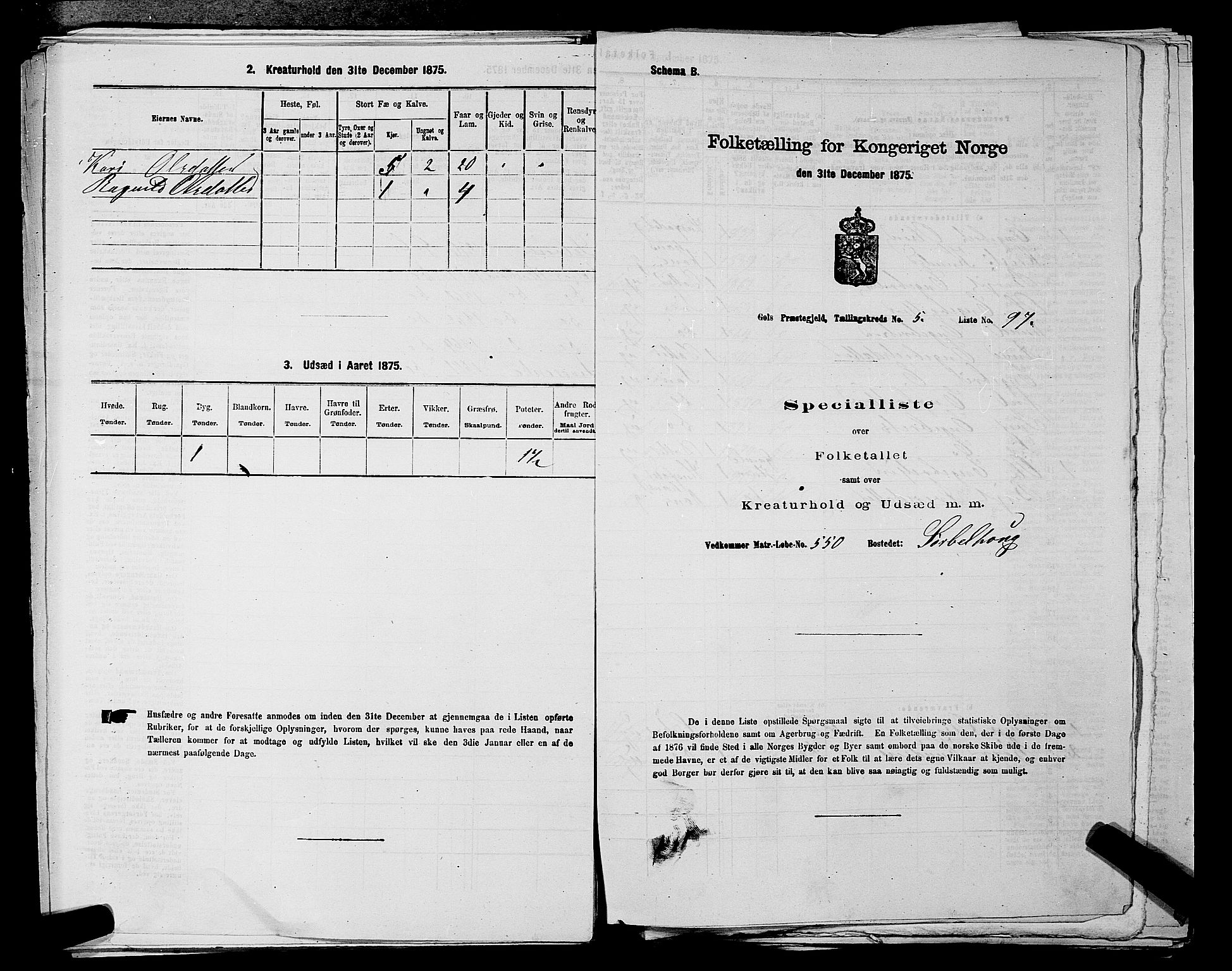 SAKO, Folketelling 1875 for 0617P Gol prestegjeld, 1875, s. 918