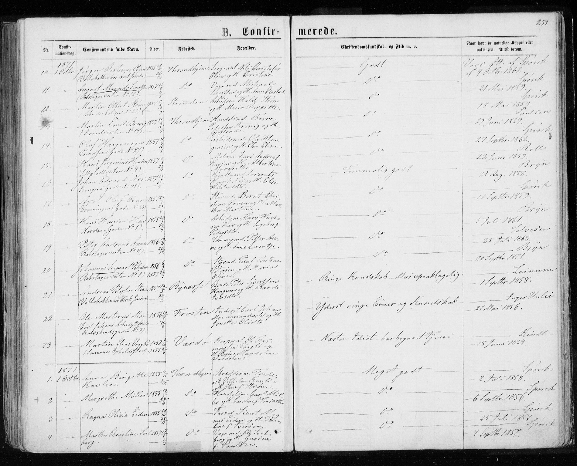 Ministerialprotokoller, klokkerbøker og fødselsregistre - Sør-Trøndelag, AV/SAT-A-1456/601/L0054: Ministerialbok nr. 601A22, 1866-1877, s. 251