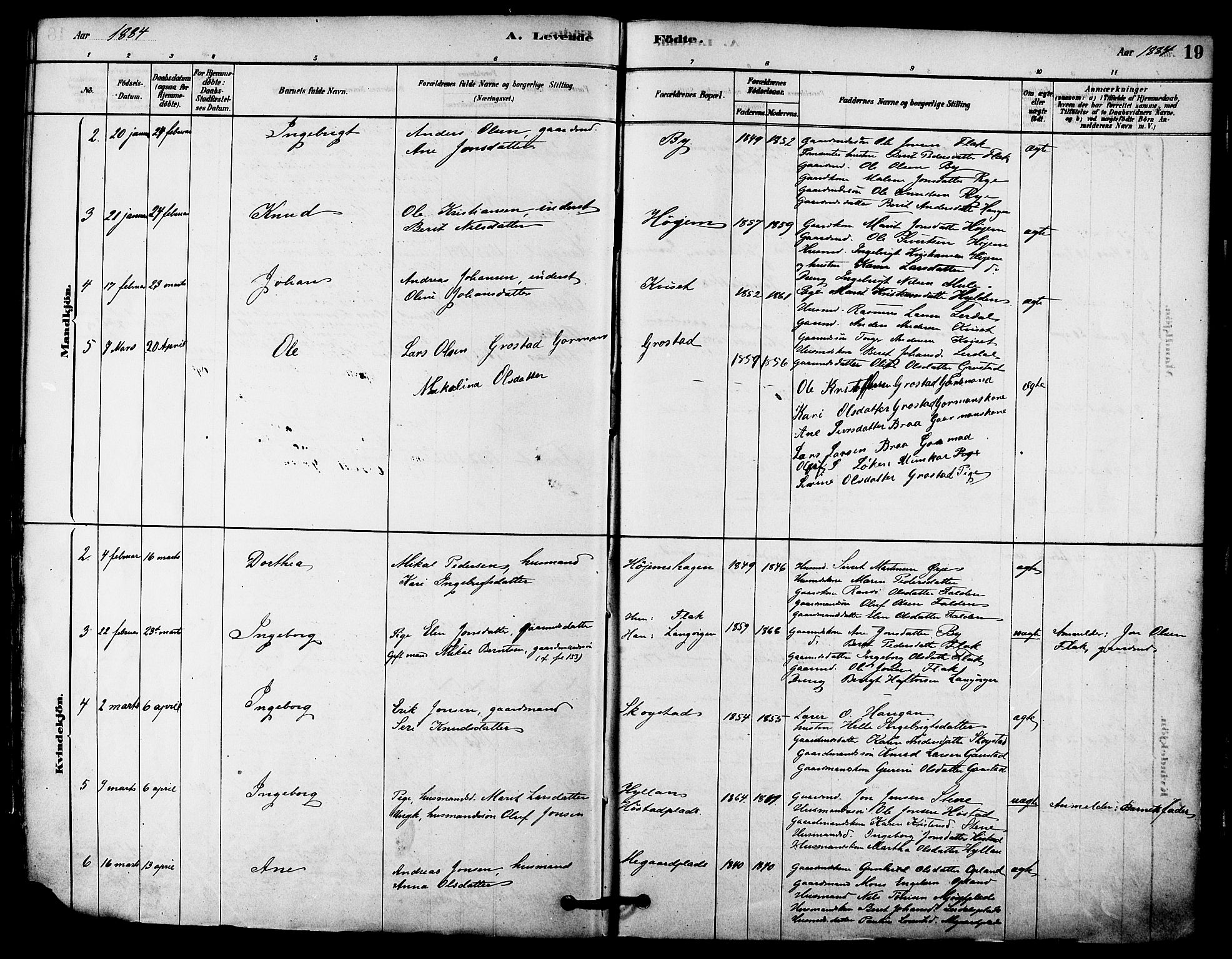 Ministerialprotokoller, klokkerbøker og fødselsregistre - Sør-Trøndelag, SAT/A-1456/612/L0378: Ministerialbok nr. 612A10, 1878-1897, s. 19