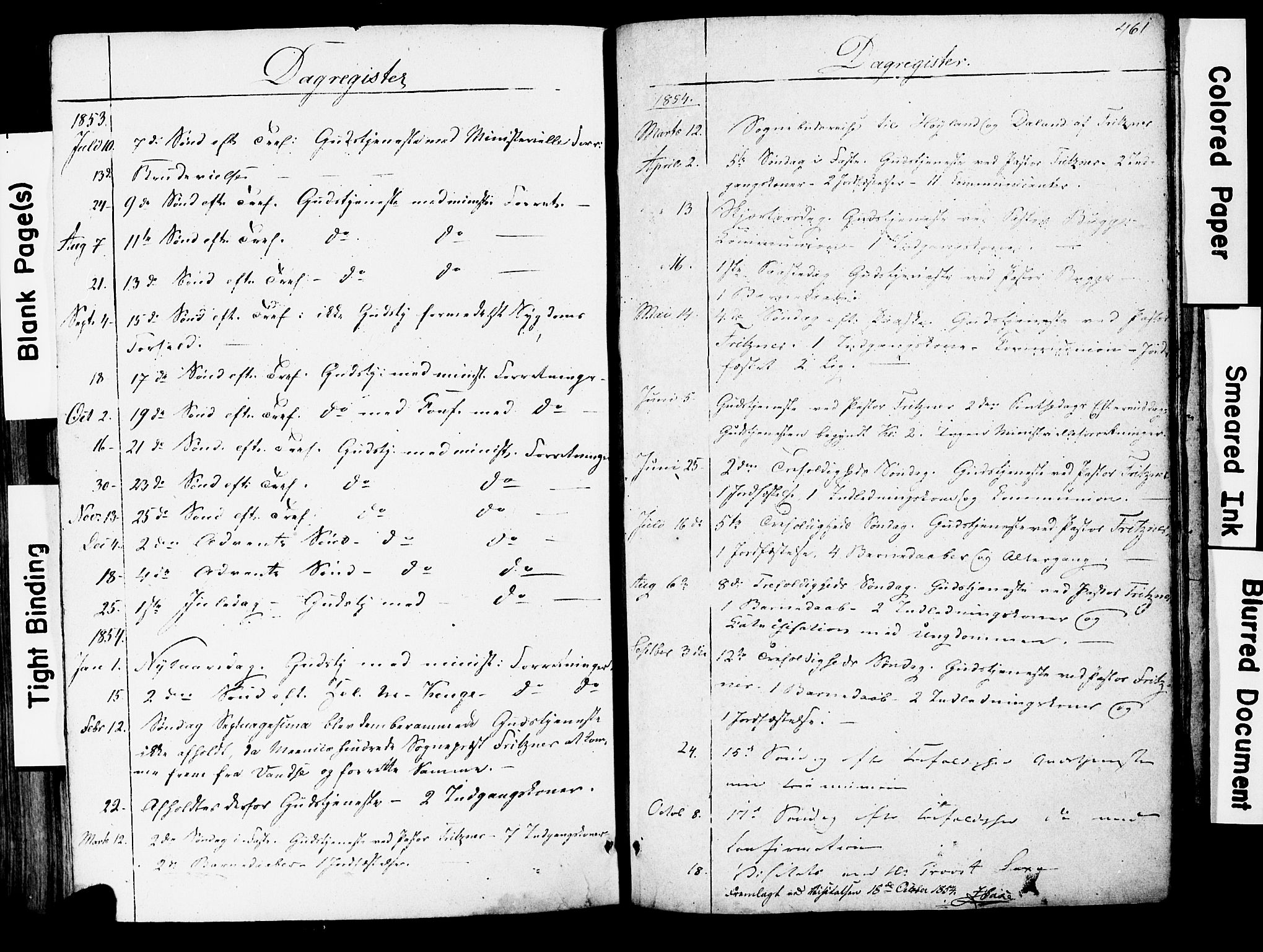 Herad sokneprestkontor, AV/SAK-1111-0018/F/Fa/Faa/L0005: Ministerialbok nr. A 5, 1853-1886, s. 461