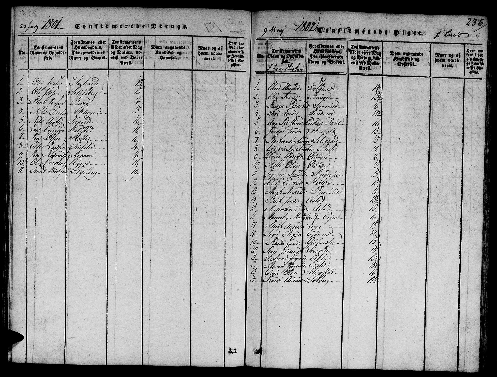 Ministerialprotokoller, klokkerbøker og fødselsregistre - Sør-Trøndelag, AV/SAT-A-1456/668/L0803: Ministerialbok nr. 668A03, 1800-1826, s. 236