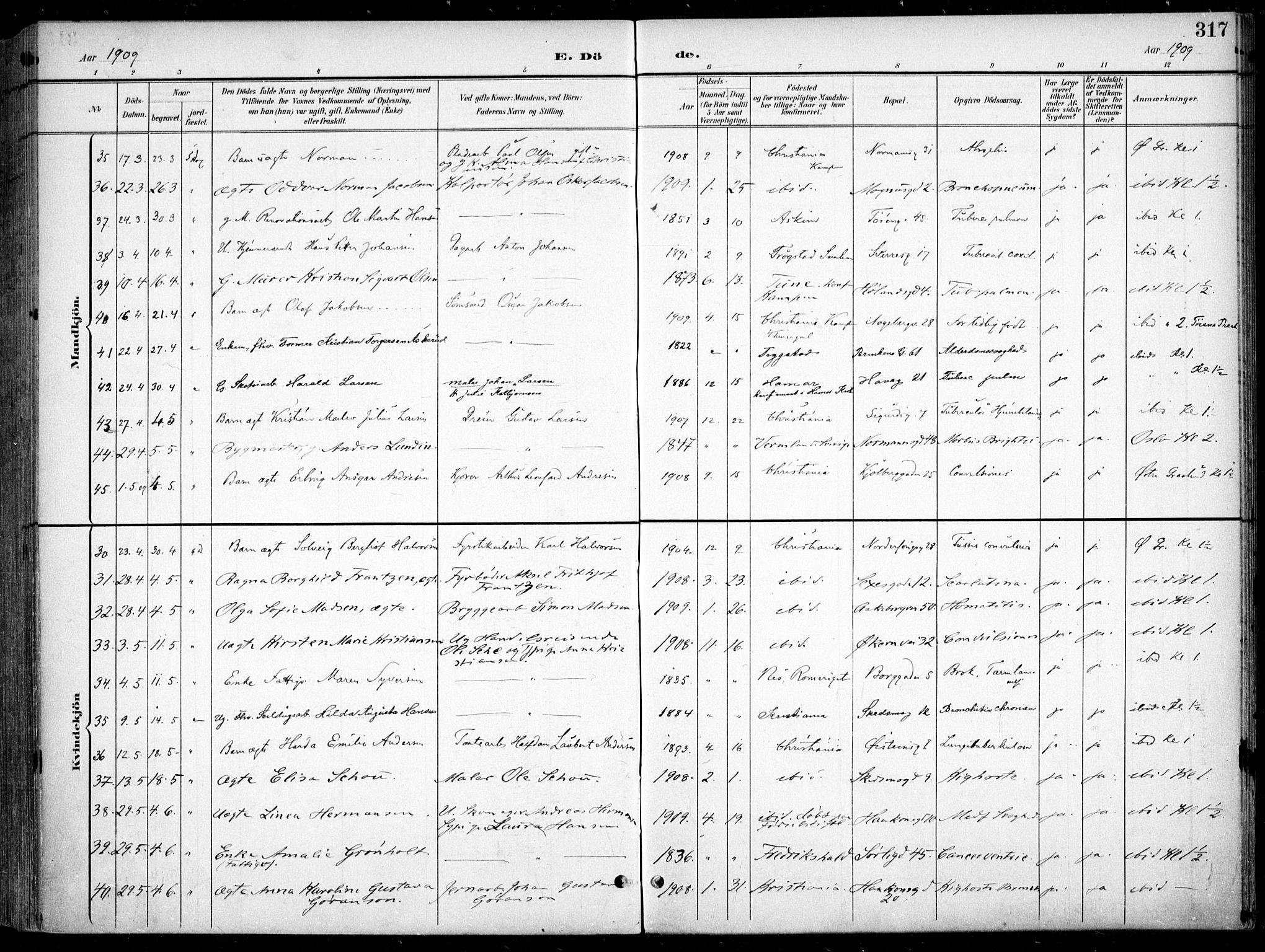 Kampen prestekontor Kirkebøker, AV/SAO-A-10853/F/Fa/L0009: Ministerialbok nr. I 9, 1899-1911, s. 317
