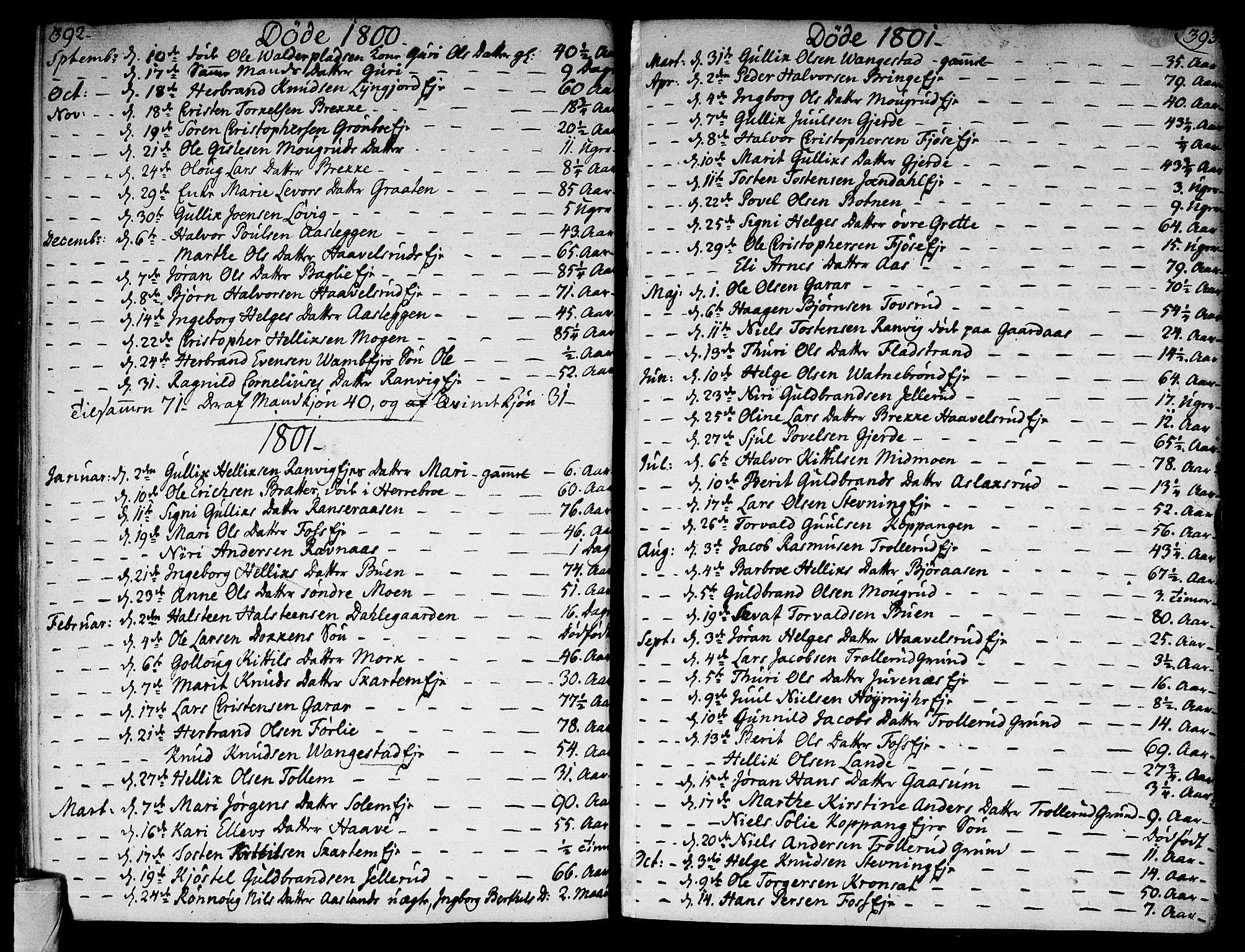 Flesberg kirkebøker, SAKO/A-18/F/Fa/L0004: Ministerialbok nr. I 4, 1788-1815, s. 392-393