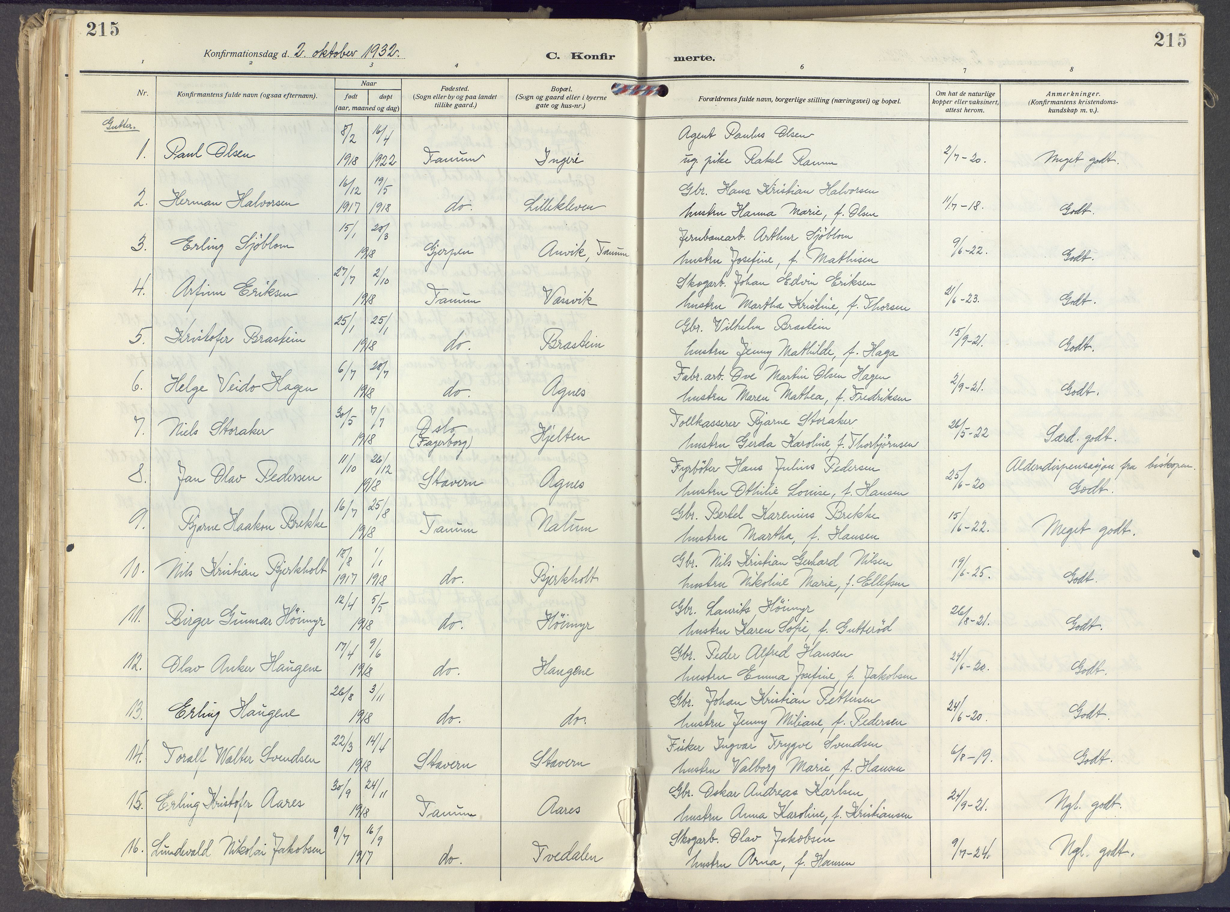 Brunlanes kirkebøker, SAKO/A-342/F/Fc/L0004: Ministerialbok nr. III 4, 1923-1943, s. 215