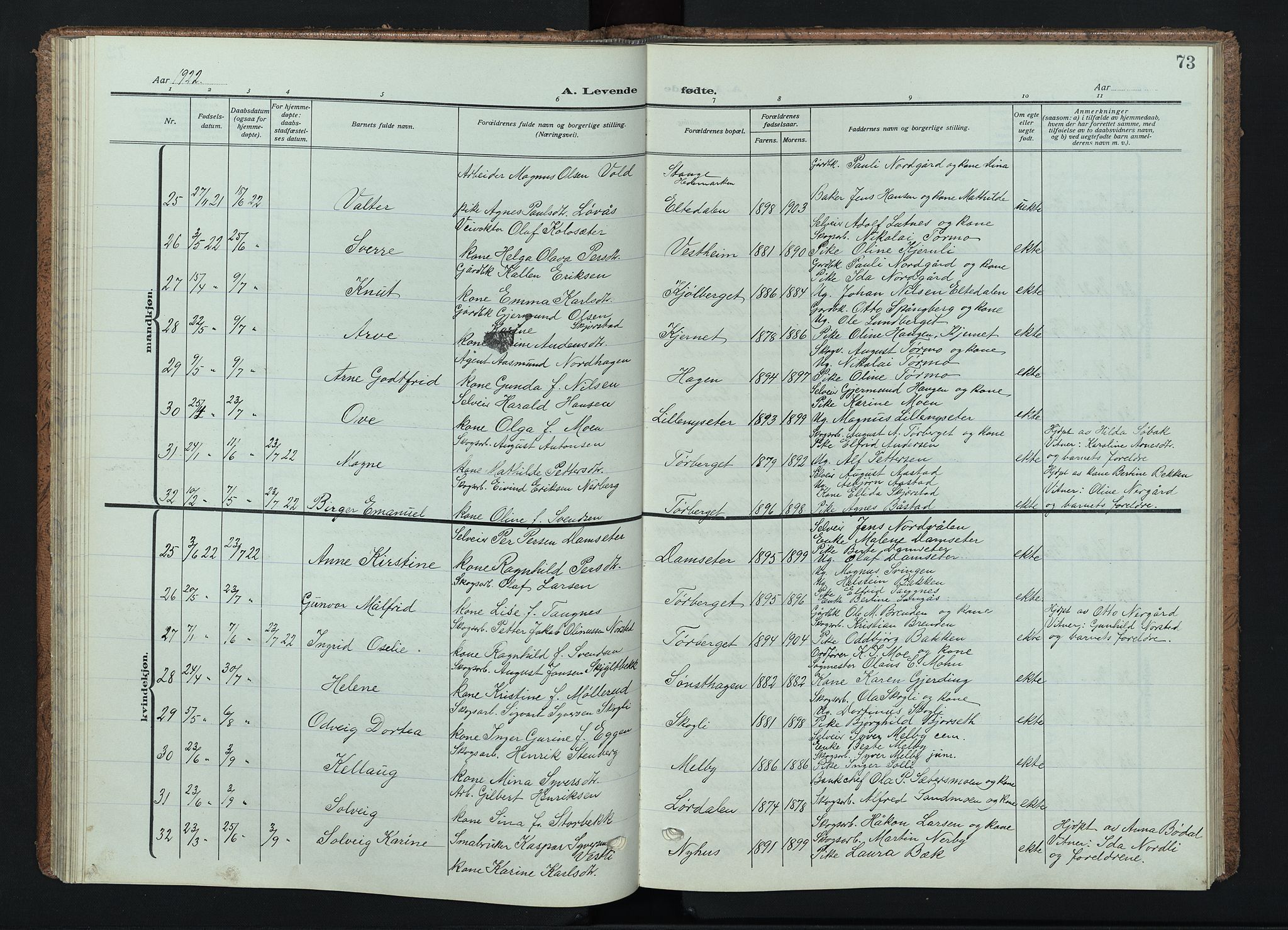 Trysil prestekontor, AV/SAH-PREST-046/H/Ha/Haa/L0015: Ministerialbok nr. 15, 1913-1934, s. 73