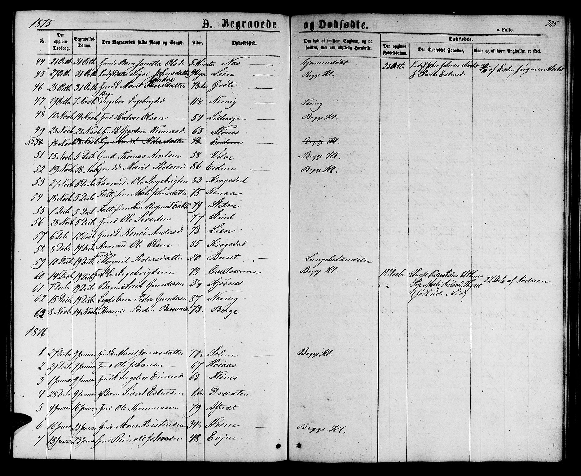 Ministerialprotokoller, klokkerbøker og fødselsregistre - Sør-Trøndelag, AV/SAT-A-1456/695/L1156: Klokkerbok nr. 695C07, 1869-1888, s. 325