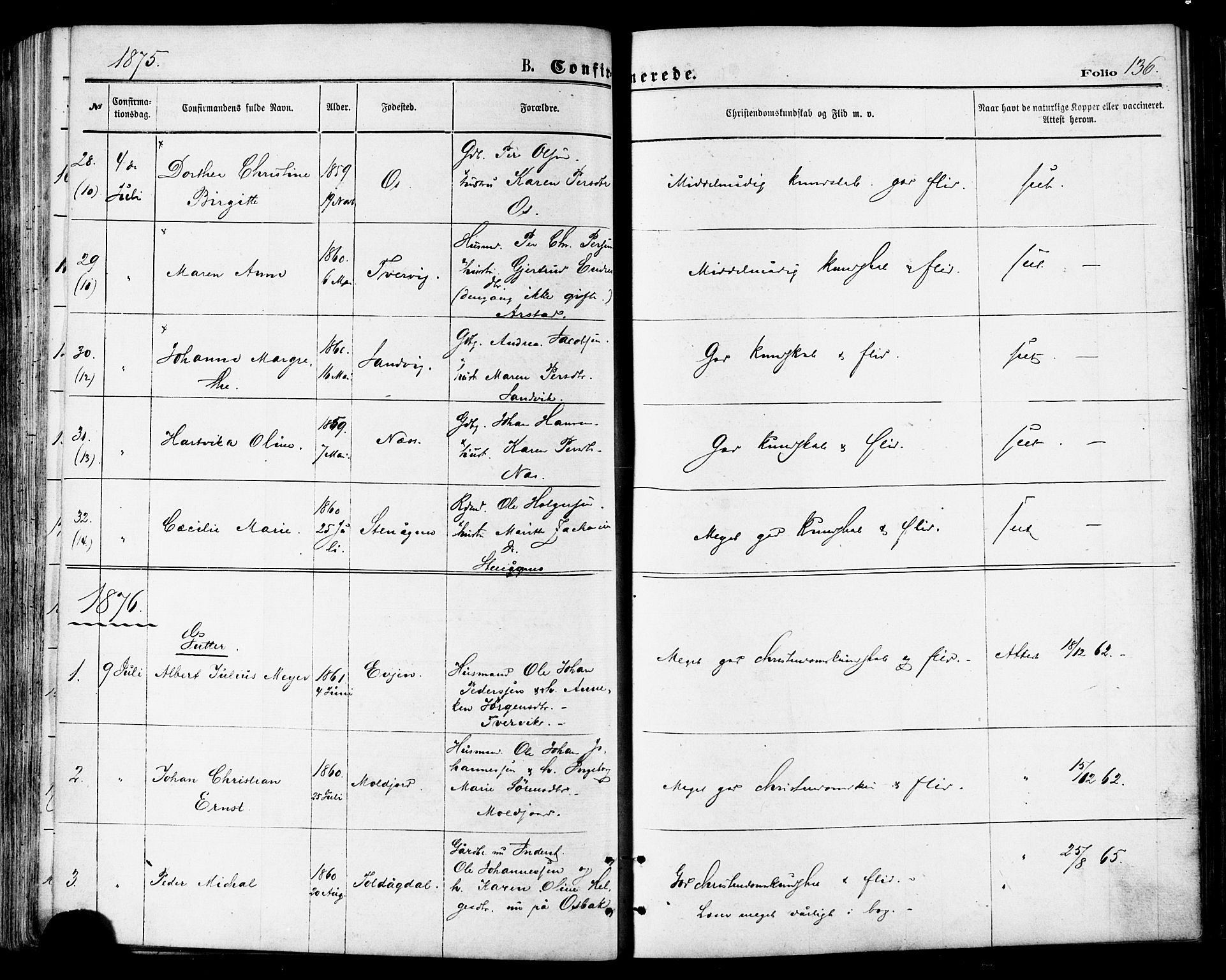 Ministerialprotokoller, klokkerbøker og fødselsregistre - Nordland, SAT/A-1459/846/L0645: Ministerialbok nr. 846A03, 1872-1886, s. 136