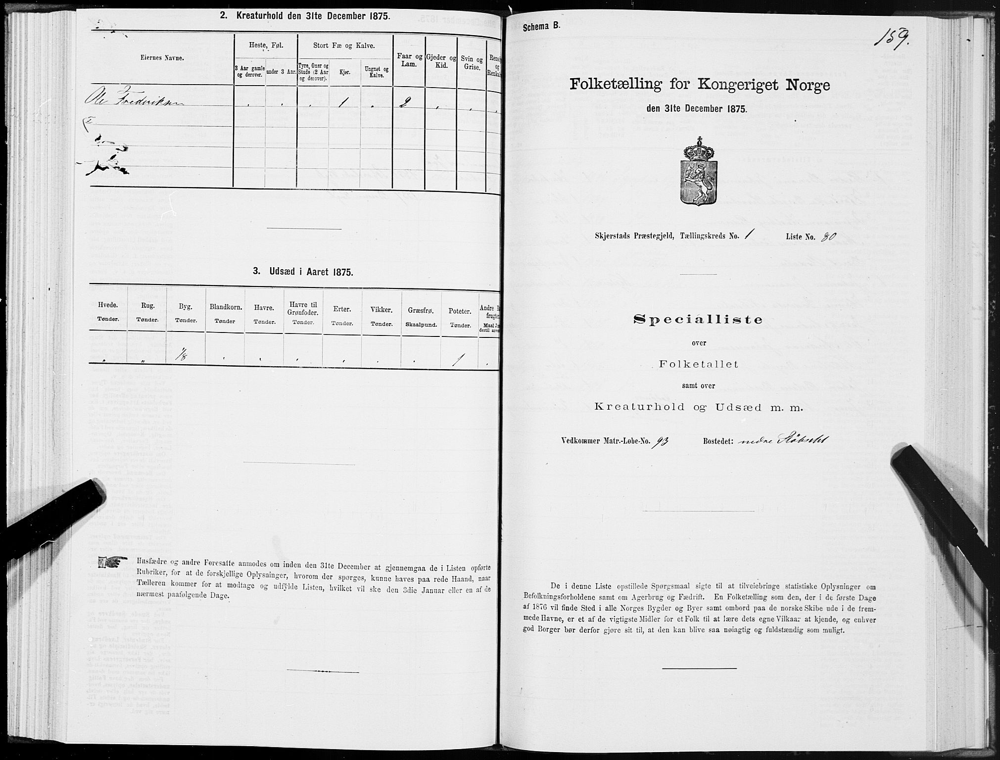 SAT, Folketelling 1875 for 1842P Skjerstad prestegjeld, 1875, s. 1159