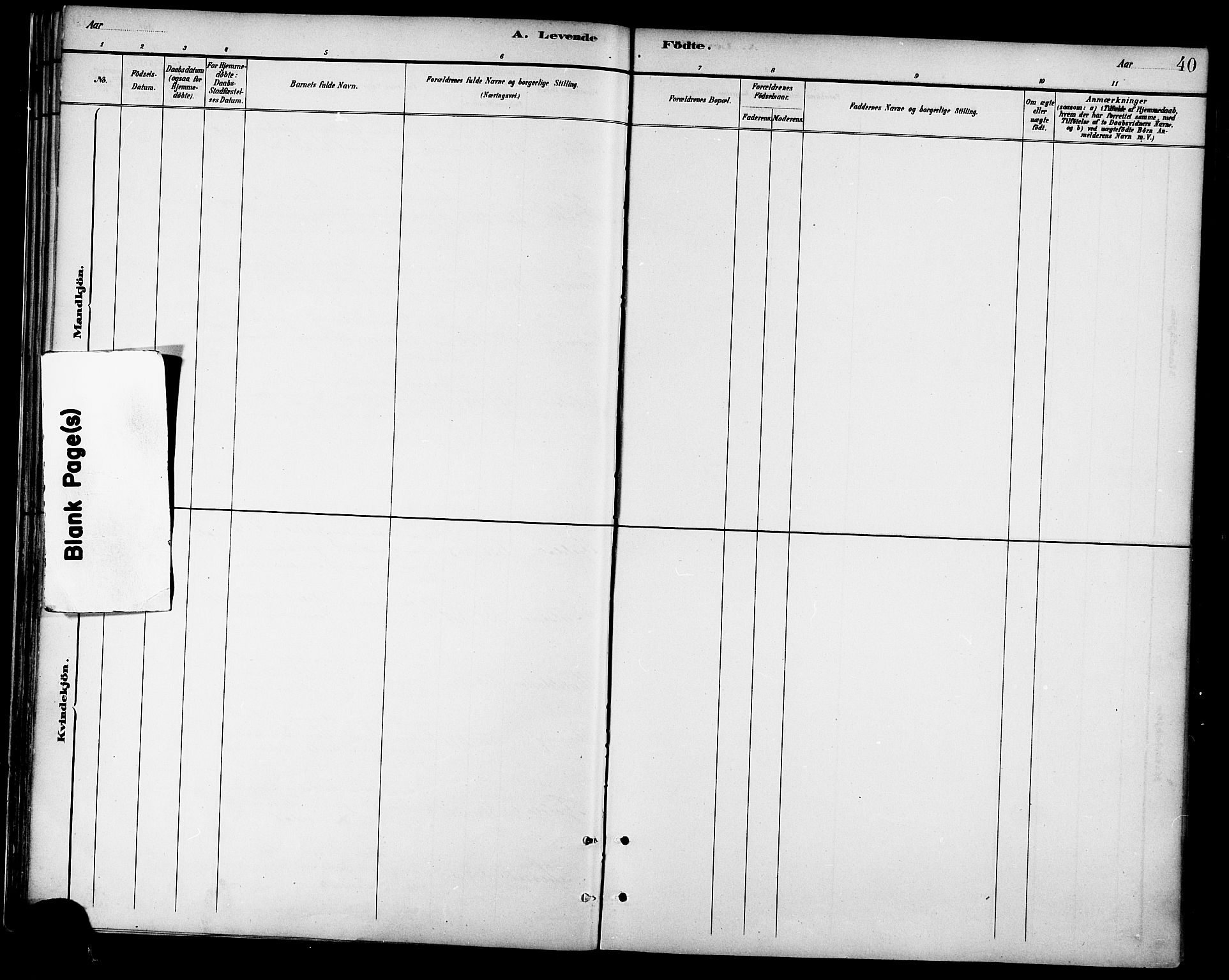 Ministerialprotokoller, klokkerbøker og fødselsregistre - Nordland, SAT/A-1459/865/L0924: Ministerialbok nr. 865A02, 1885-1896, s. 40