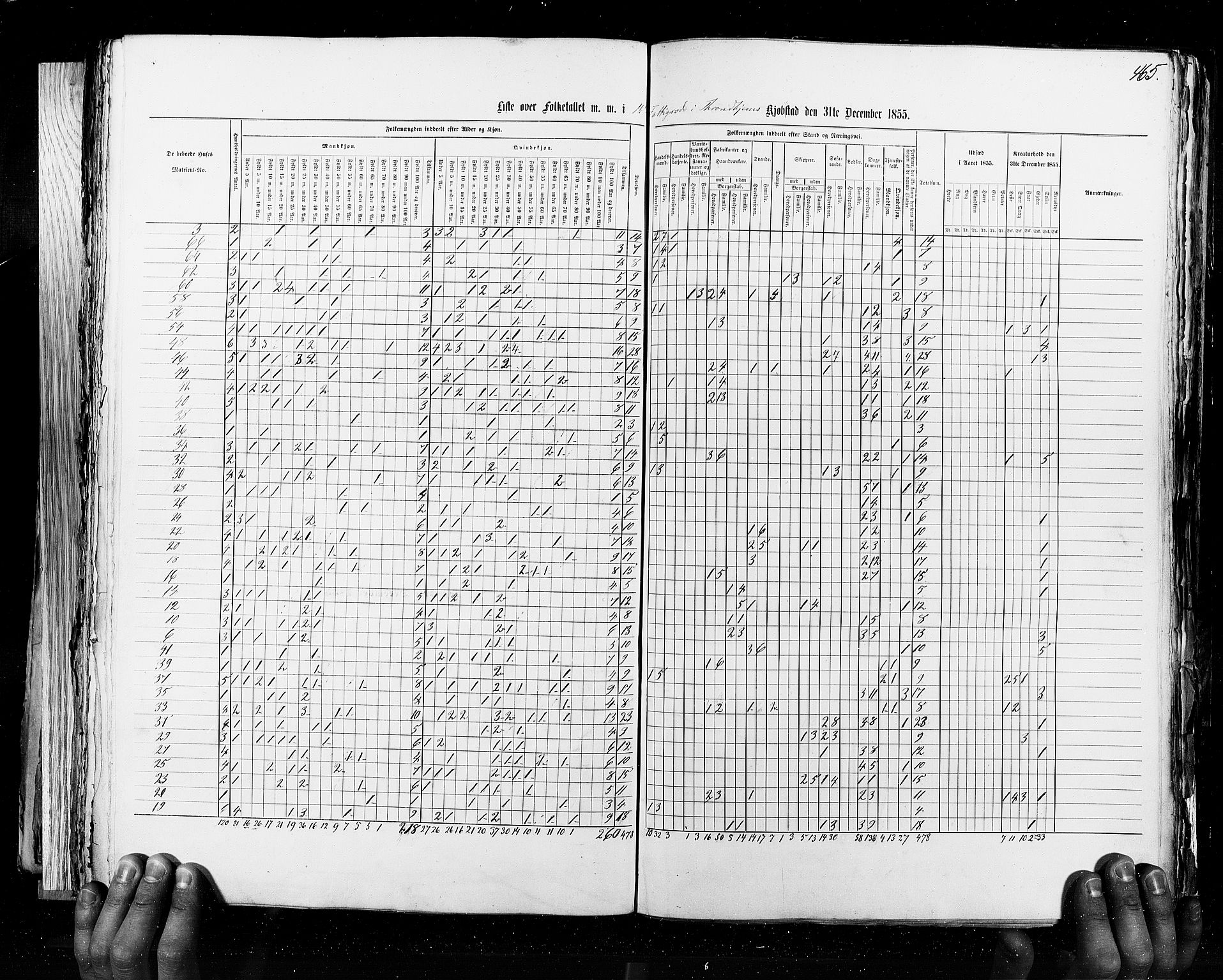 RA, Folketellingen 1855, bind 8: Kjøpsteder og ladesteder: Risør-Vadsø, 1855, s. 465