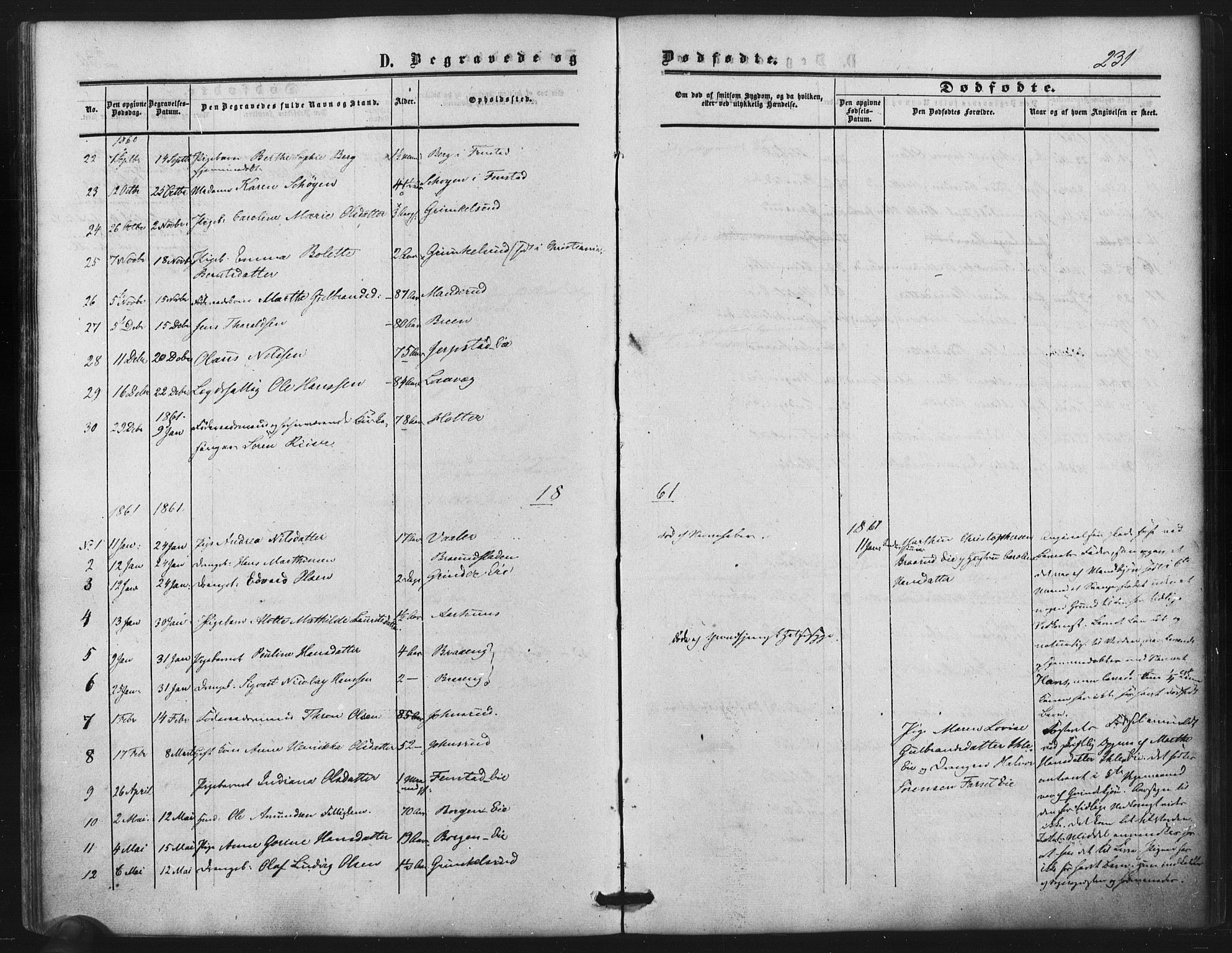 Nes prestekontor Kirkebøker, SAO/A-10410/F/Fb/L0001: Ministerialbok nr. II 1, 1859-1882, s. 231
