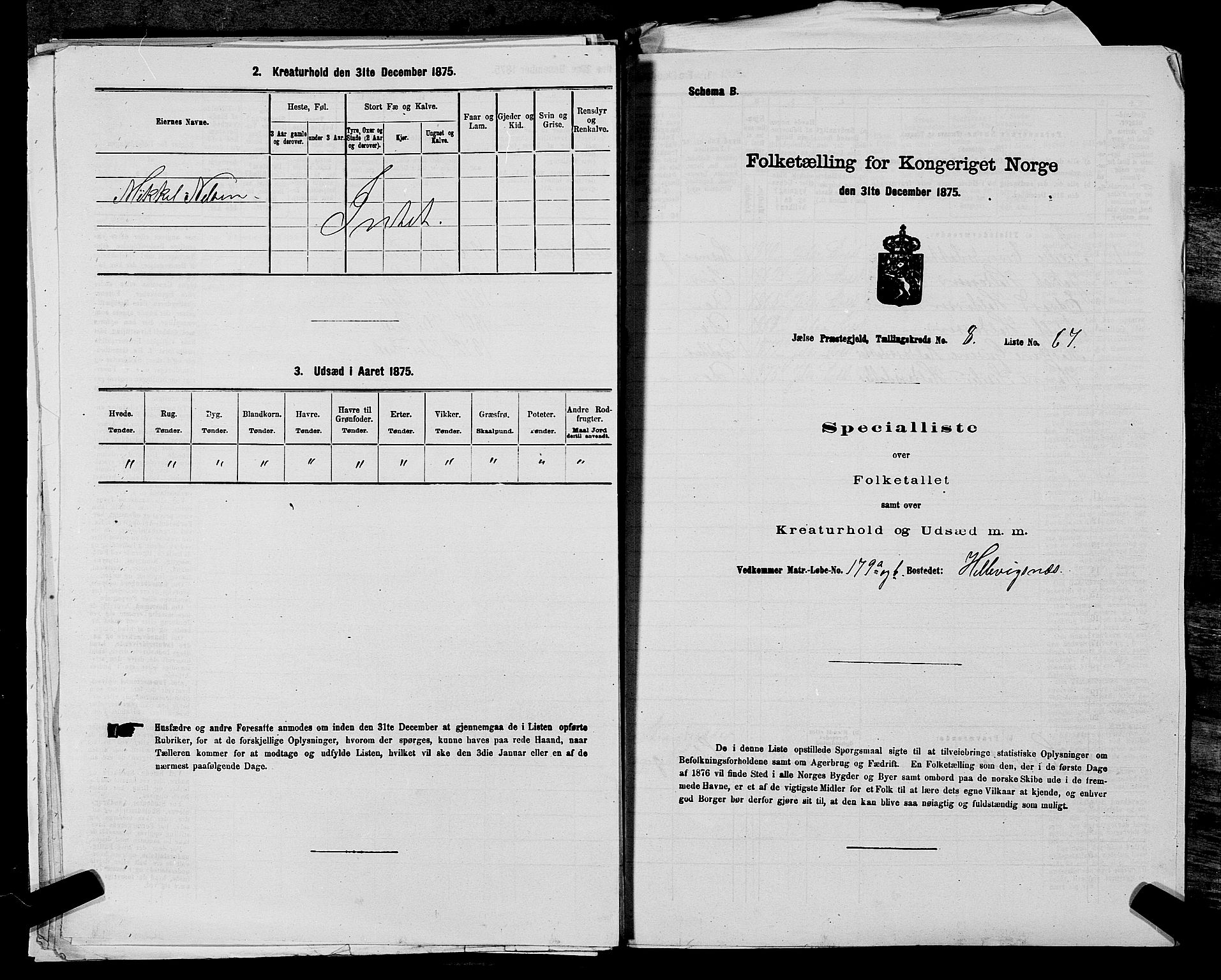 SAST, Folketelling 1875 for 1138P Jelsa prestegjeld, 1875, s. 805