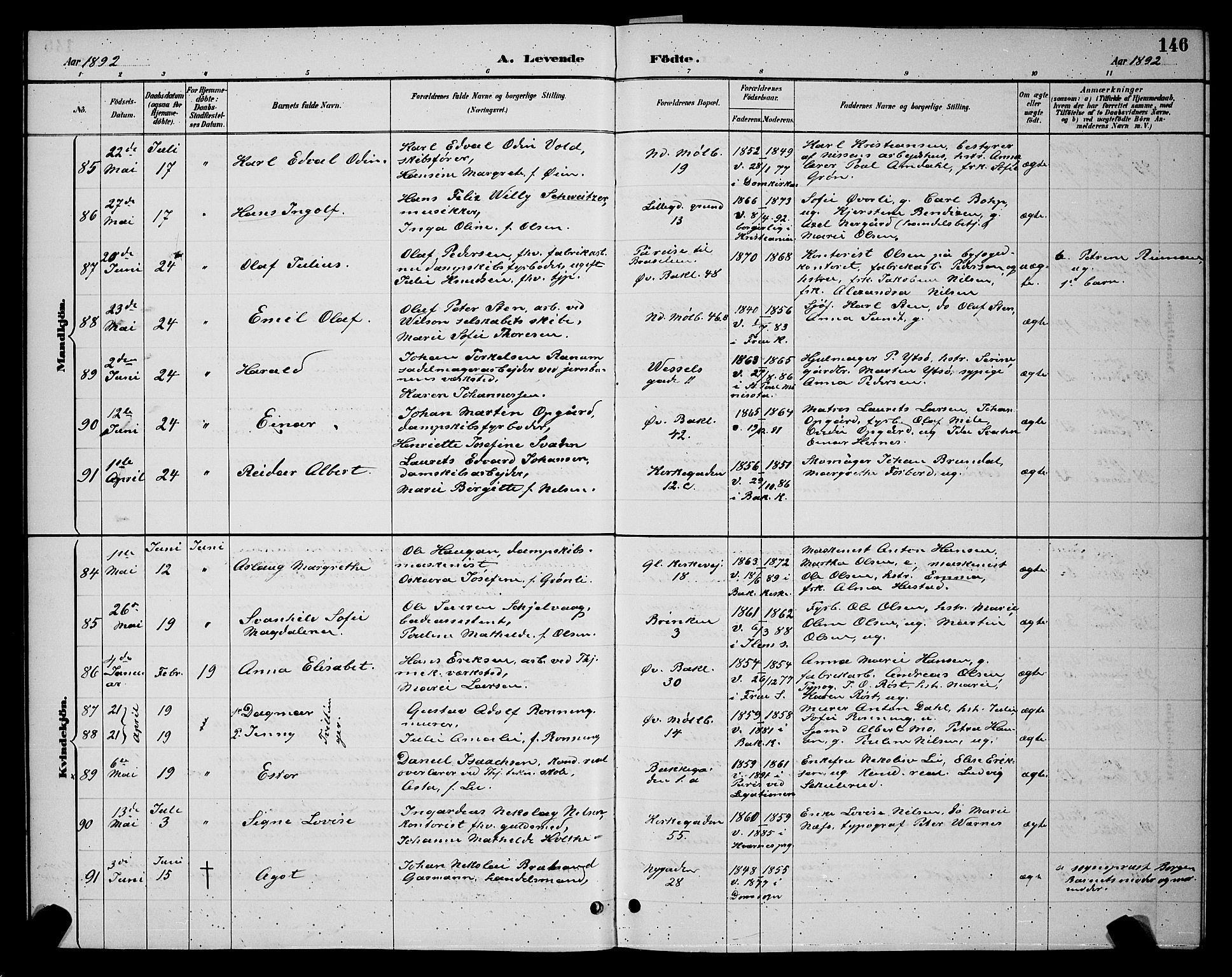 Ministerialprotokoller, klokkerbøker og fødselsregistre - Sør-Trøndelag, AV/SAT-A-1456/604/L0222: Klokkerbok nr. 604C05, 1886-1895, s. 146