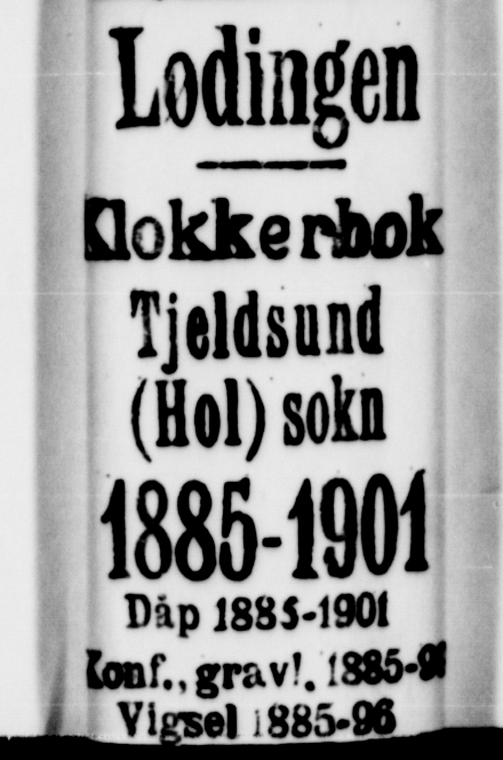 Ministerialprotokoller, klokkerbøker og fødselsregistre - Nordland, AV/SAT-A-1459/865/L0931: Klokkerbok nr. 865C03, 1885-1901