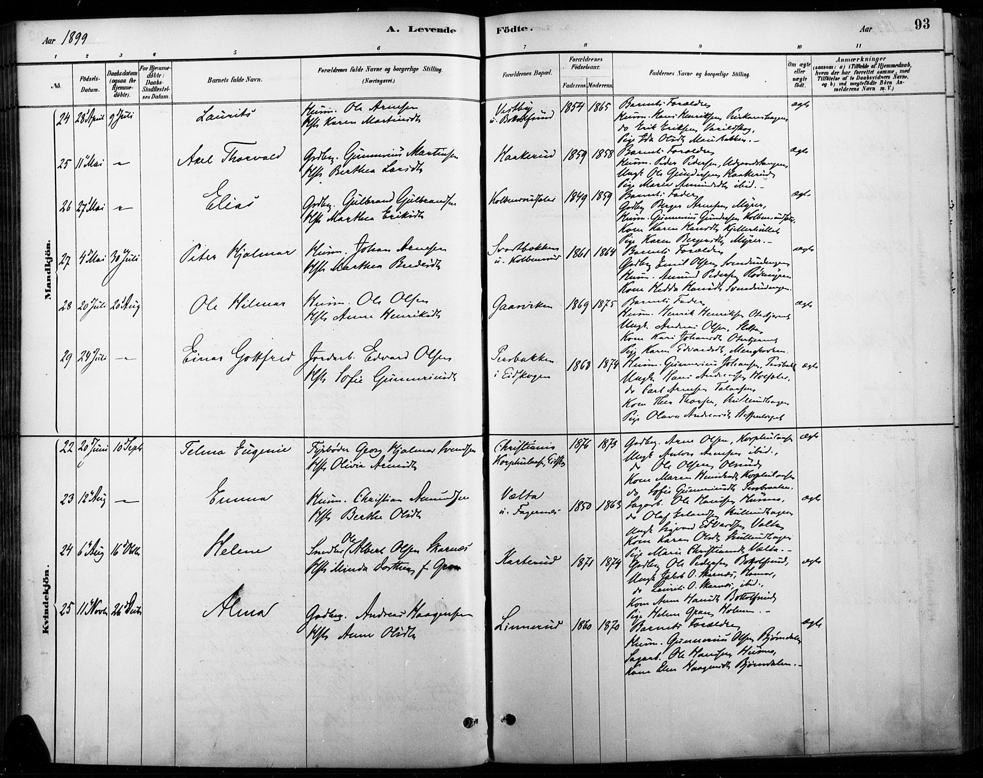 Vinger prestekontor, AV/SAH-PREST-024/H/Ha/Haa/L0015: Ministerialbok nr. 15, 1881-1900, s. 93