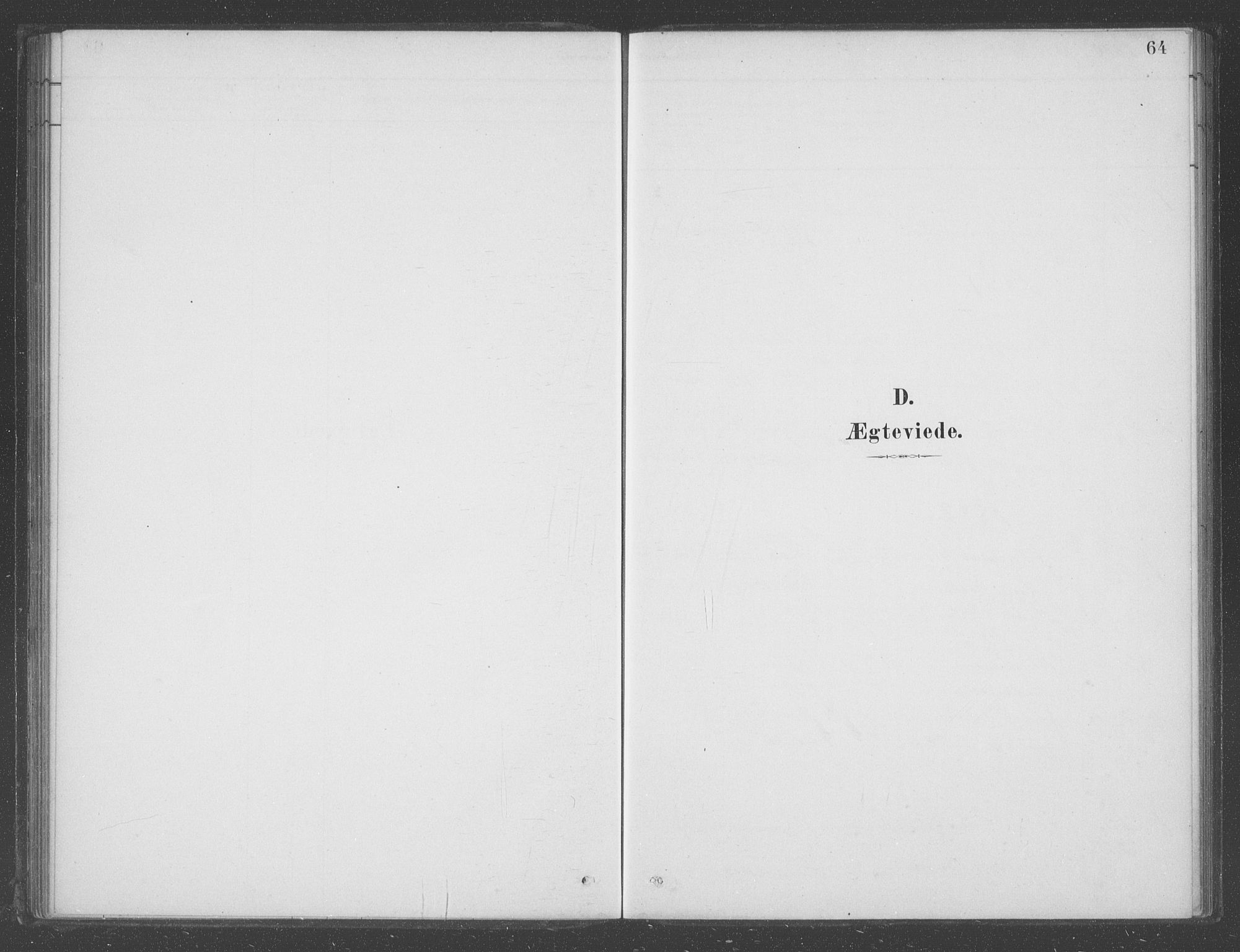 Aurland sokneprestembete, SAB/A-99937/H/Ha/Had/L0001: Ministerialbok nr. D  1, 1880-1903, s. 64