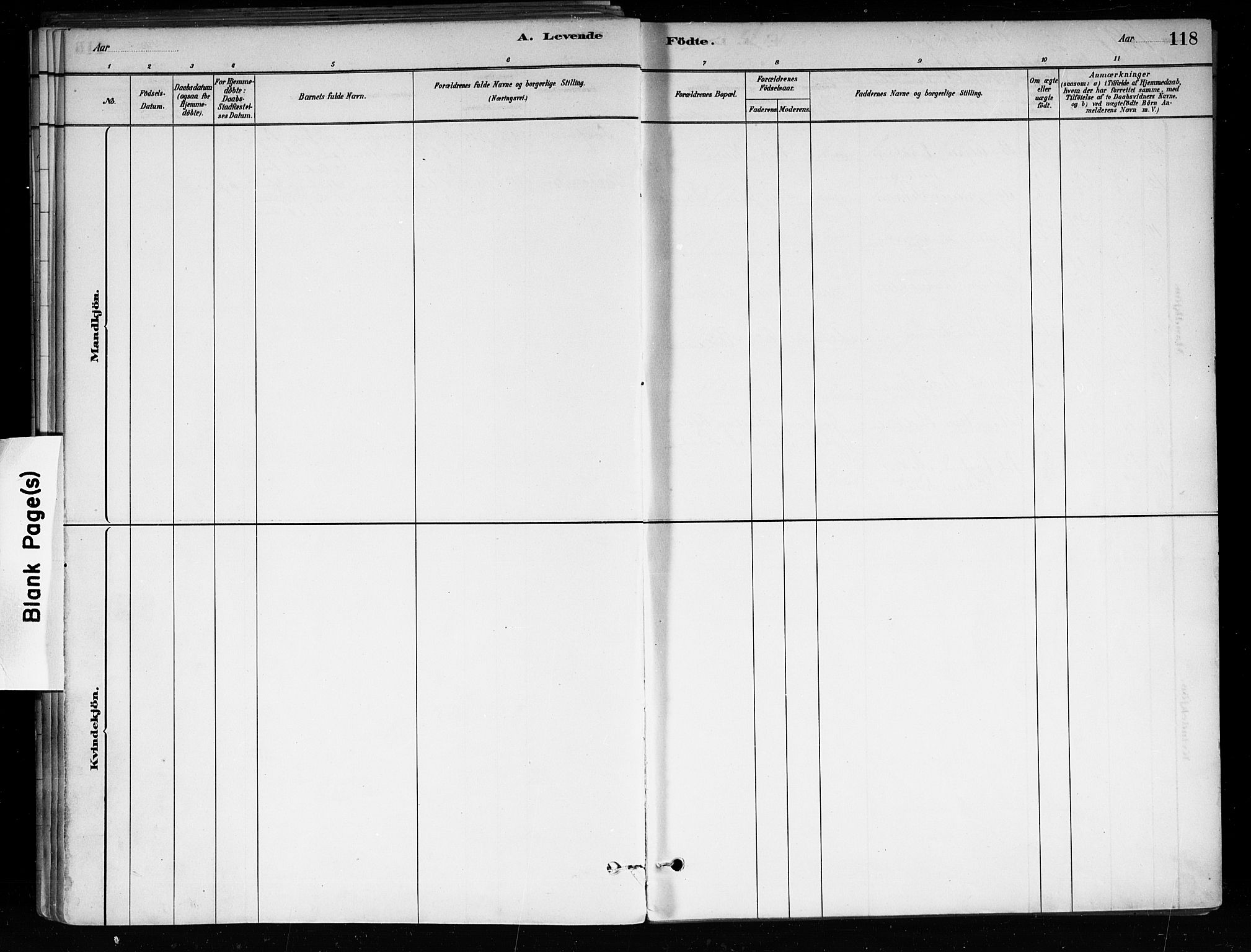 Røyken kirkebøker, AV/SAKO-A-241/F/Fa/L0008: Ministerialbok nr. 8, 1880-1897, s. 118