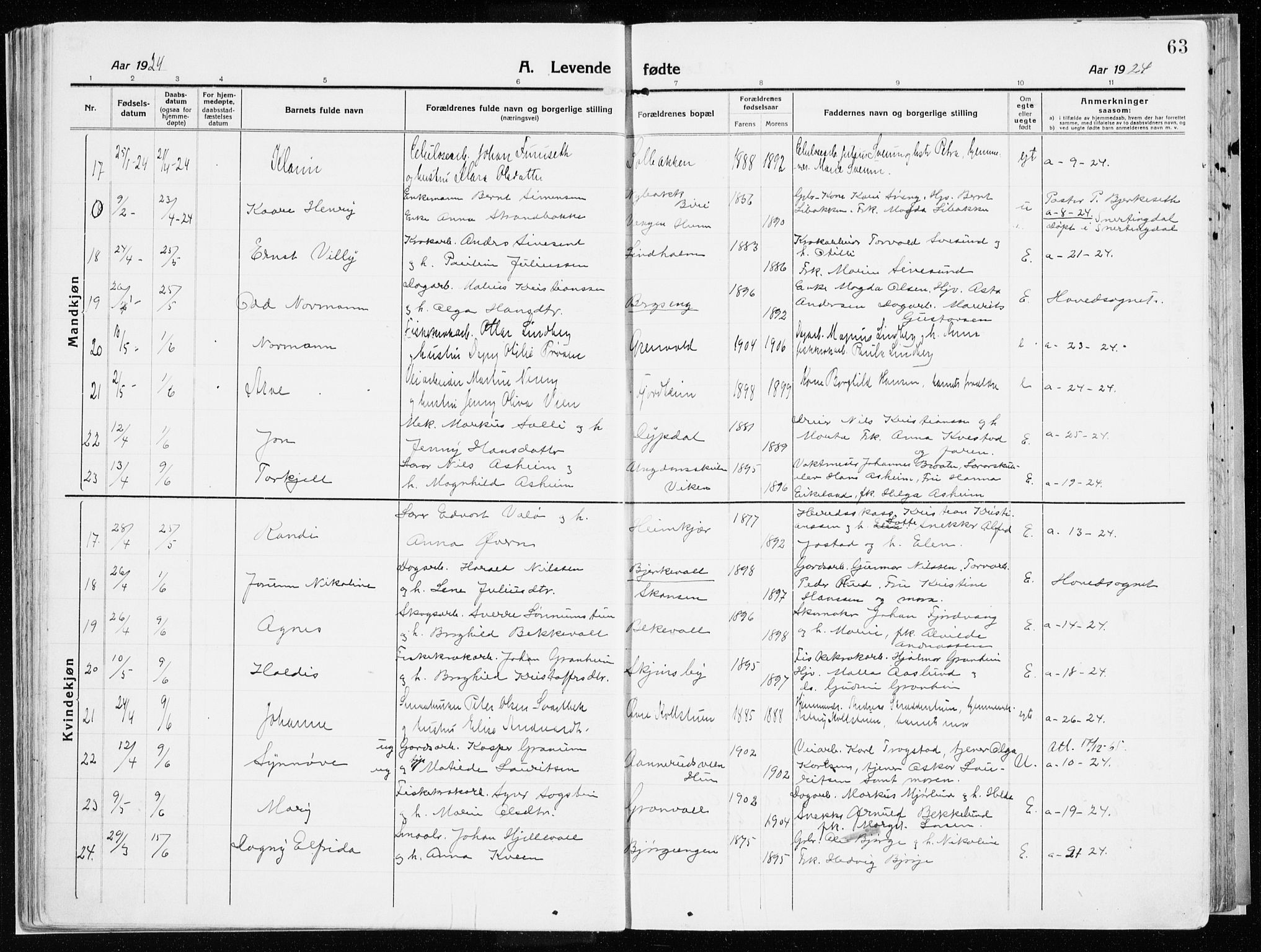 Vardal prestekontor, AV/SAH-PREST-100/H/Ha/Haa/L0017: Ministerialbok nr. 17, 1915-1929, s. 63