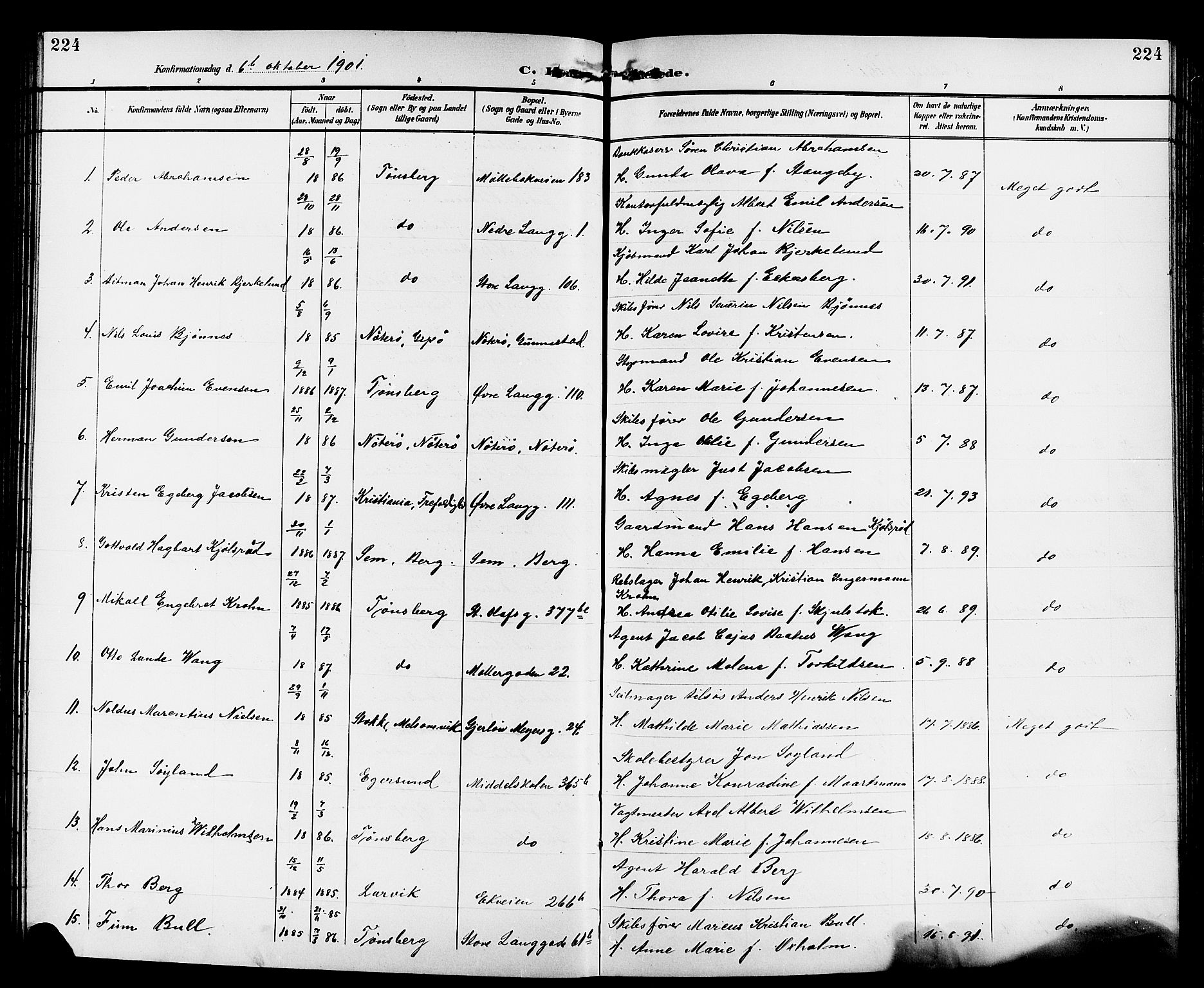 Tønsberg kirkebøker, AV/SAKO-A-330/G/Ga/L0007: Klokkerbok nr. 7, 1896-1904, s. 224