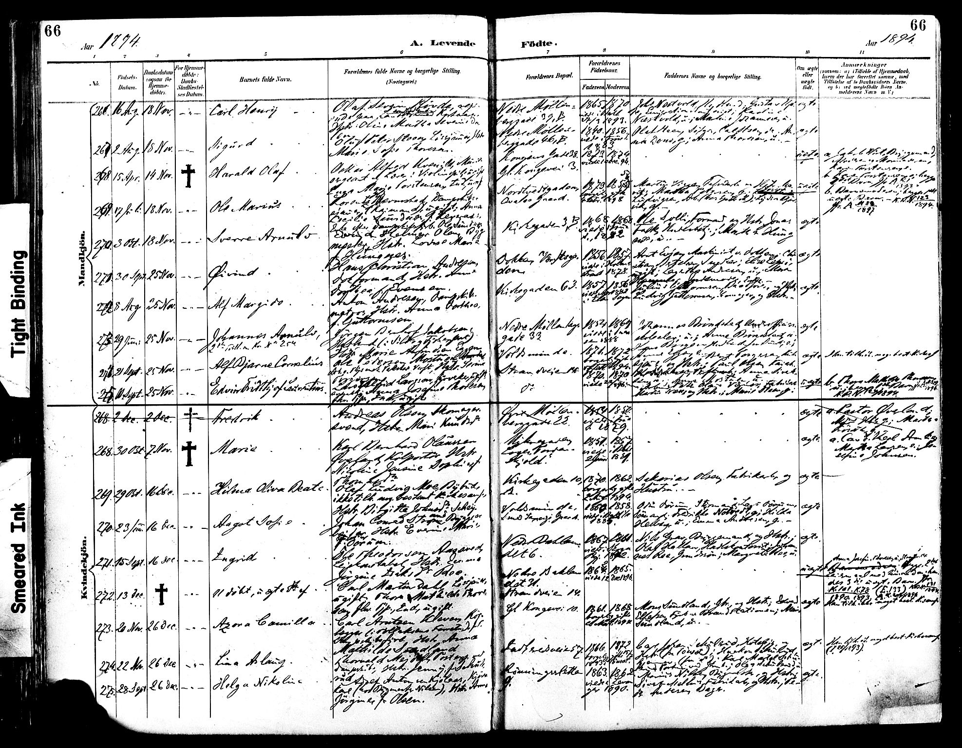 Ministerialprotokoller, klokkerbøker og fødselsregistre - Sør-Trøndelag, AV/SAT-A-1456/604/L0197: Ministerialbok nr. 604A18, 1893-1900, s. 66
