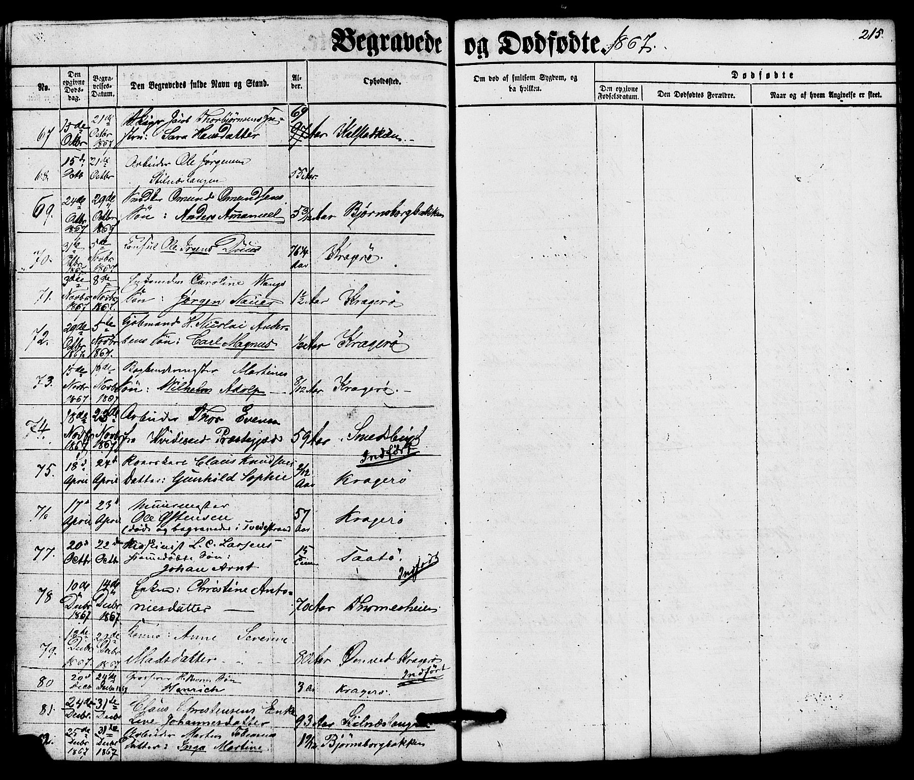 Kragerø kirkebøker, AV/SAKO-A-278/G/Ga/L0005: Klokkerbok nr. 5, 1865-1881, s. 215