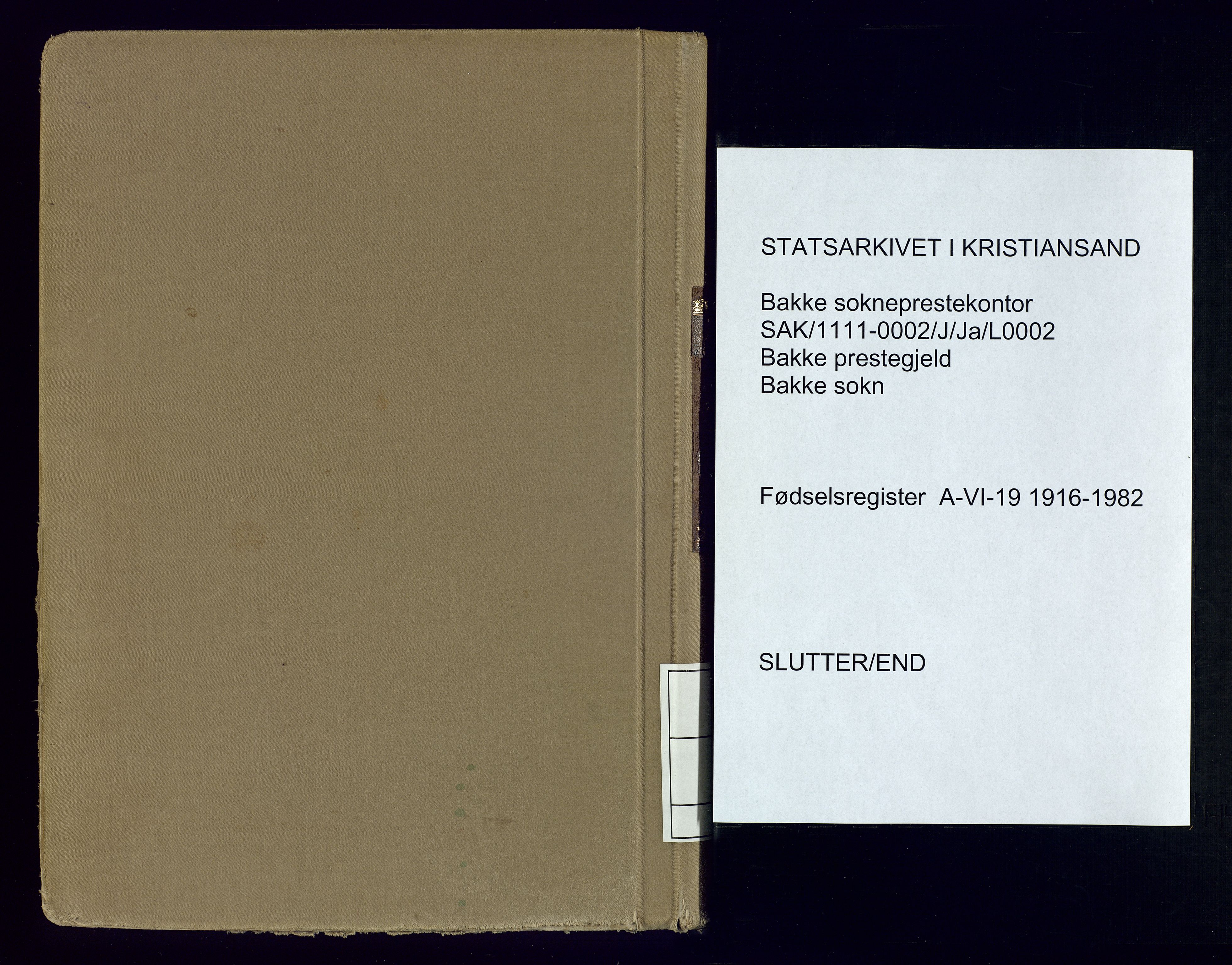 Bakke sokneprestkontor, AV/SAK-1111-0002/J/Ja/L0002: Fødselsregister nr. A-VI-19, 1916-1982