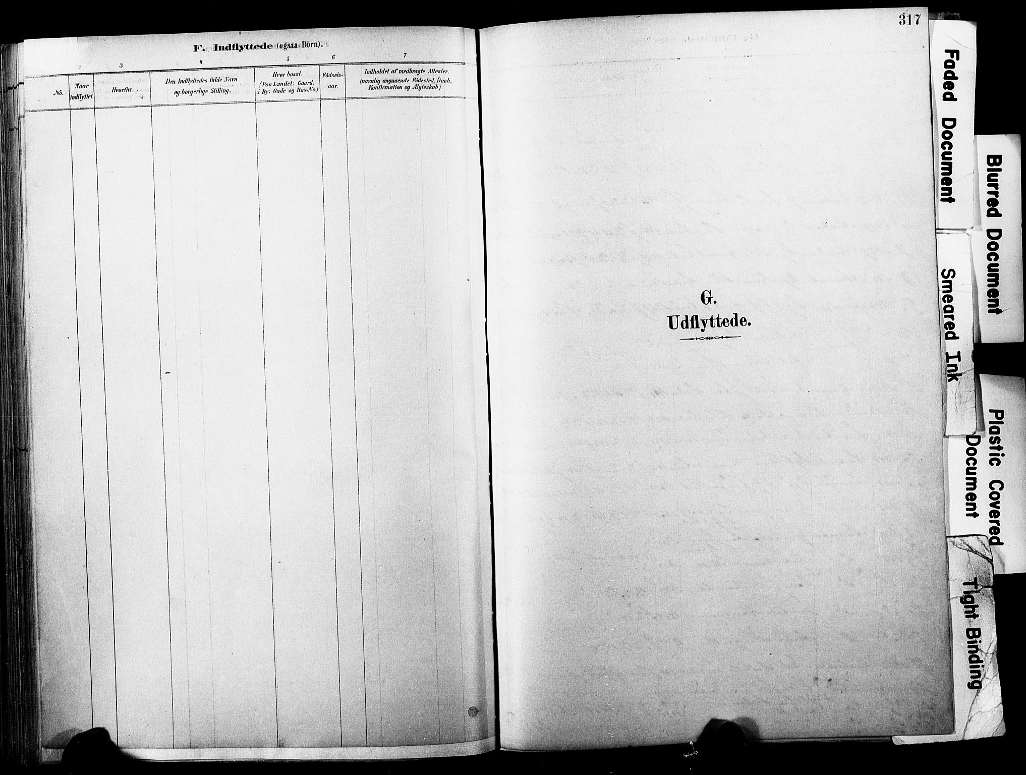 Horten kirkebøker, AV/SAKO-A-348/F/Fa/L0004: Ministerialbok nr. 4, 1888-1895, s. 317