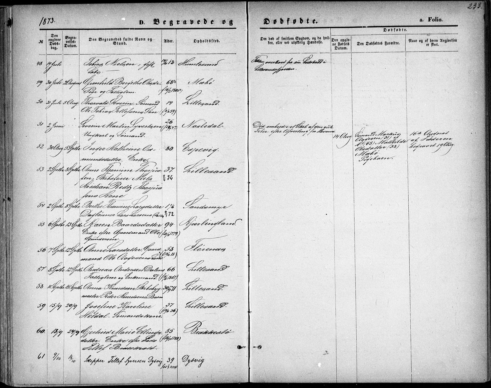 Vestre Moland sokneprestkontor, AV/SAK-1111-0046/F/Fb/Fbb/L0005: Klokkerbok nr. B 5, 1872-1883, s. 233
