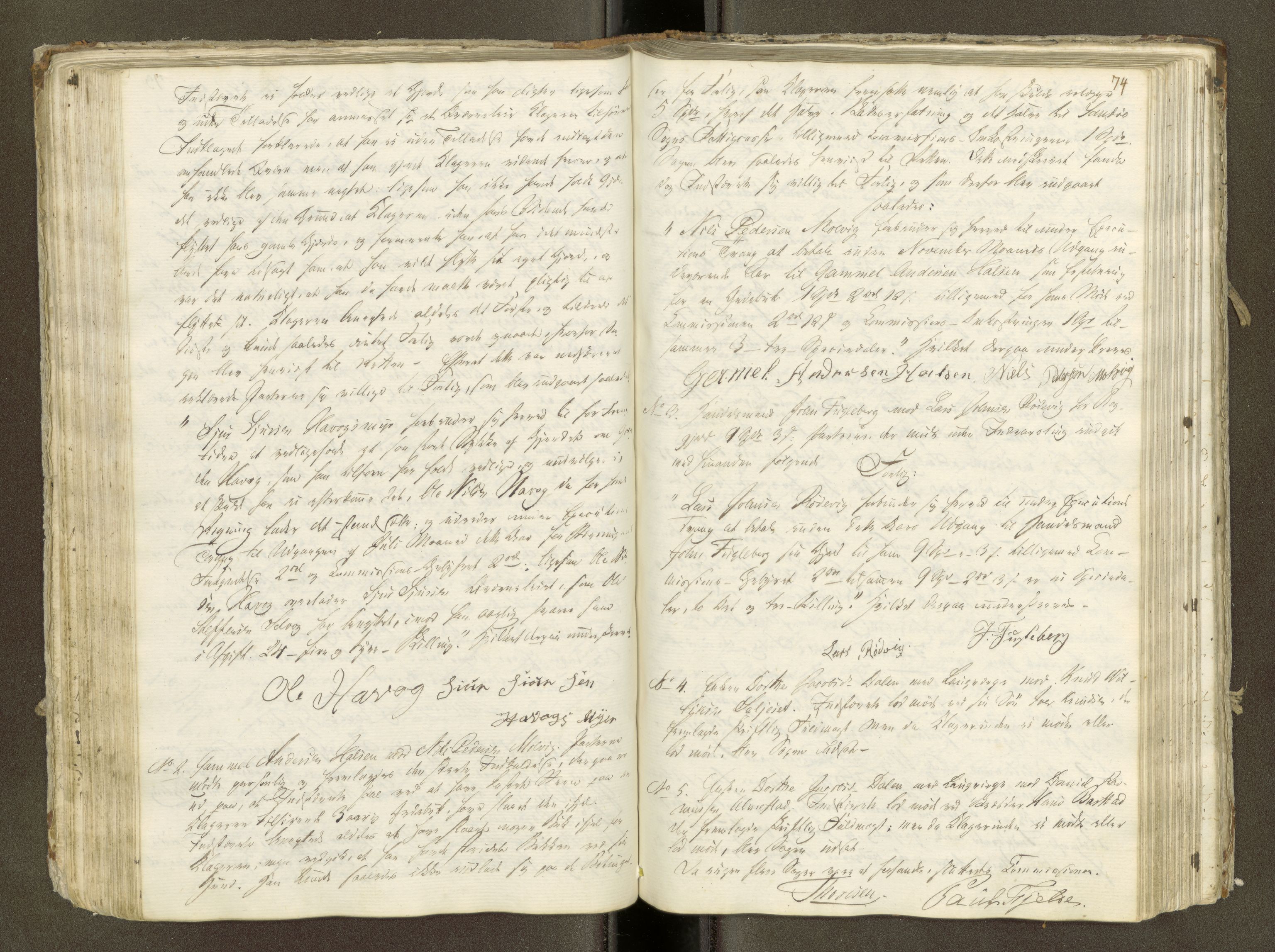 Herøy forliksråd (Møre og Romsdal), AV/SAT-A-2073/A/L0002: Møtebok, 1797-1843, s. 73b-74a