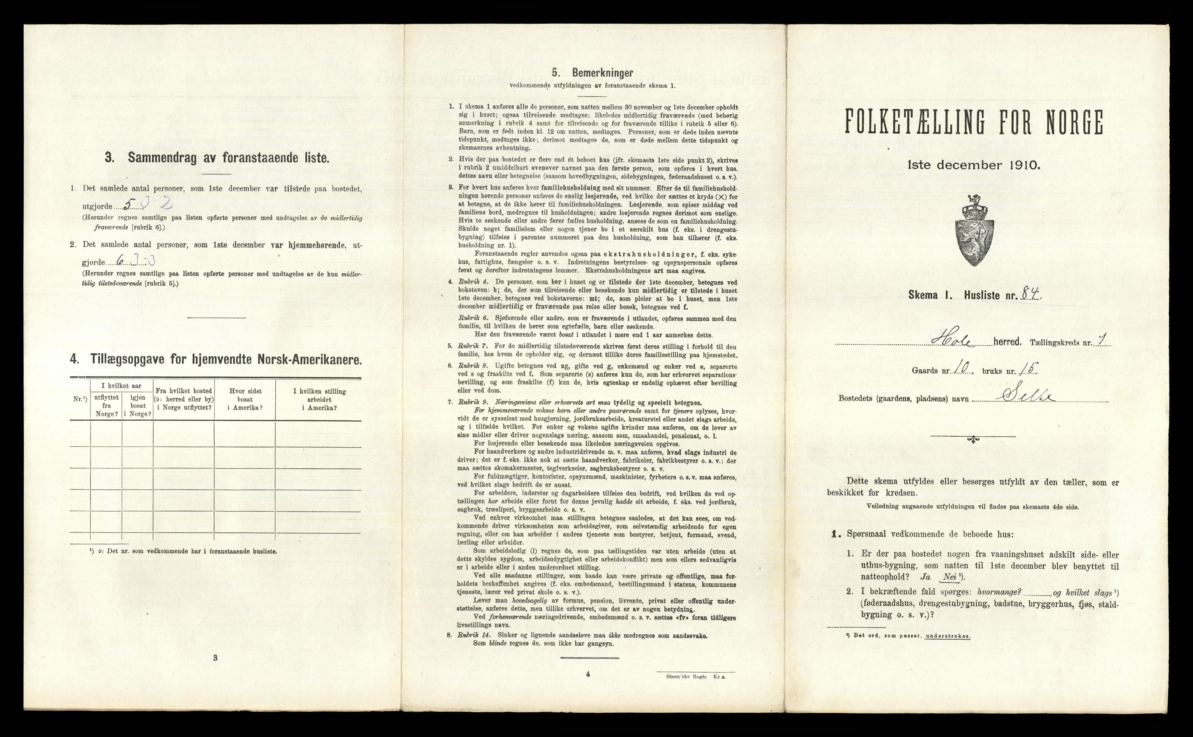 RA, Folketelling 1910 for 0612 Hole herred, 1910, s. 204