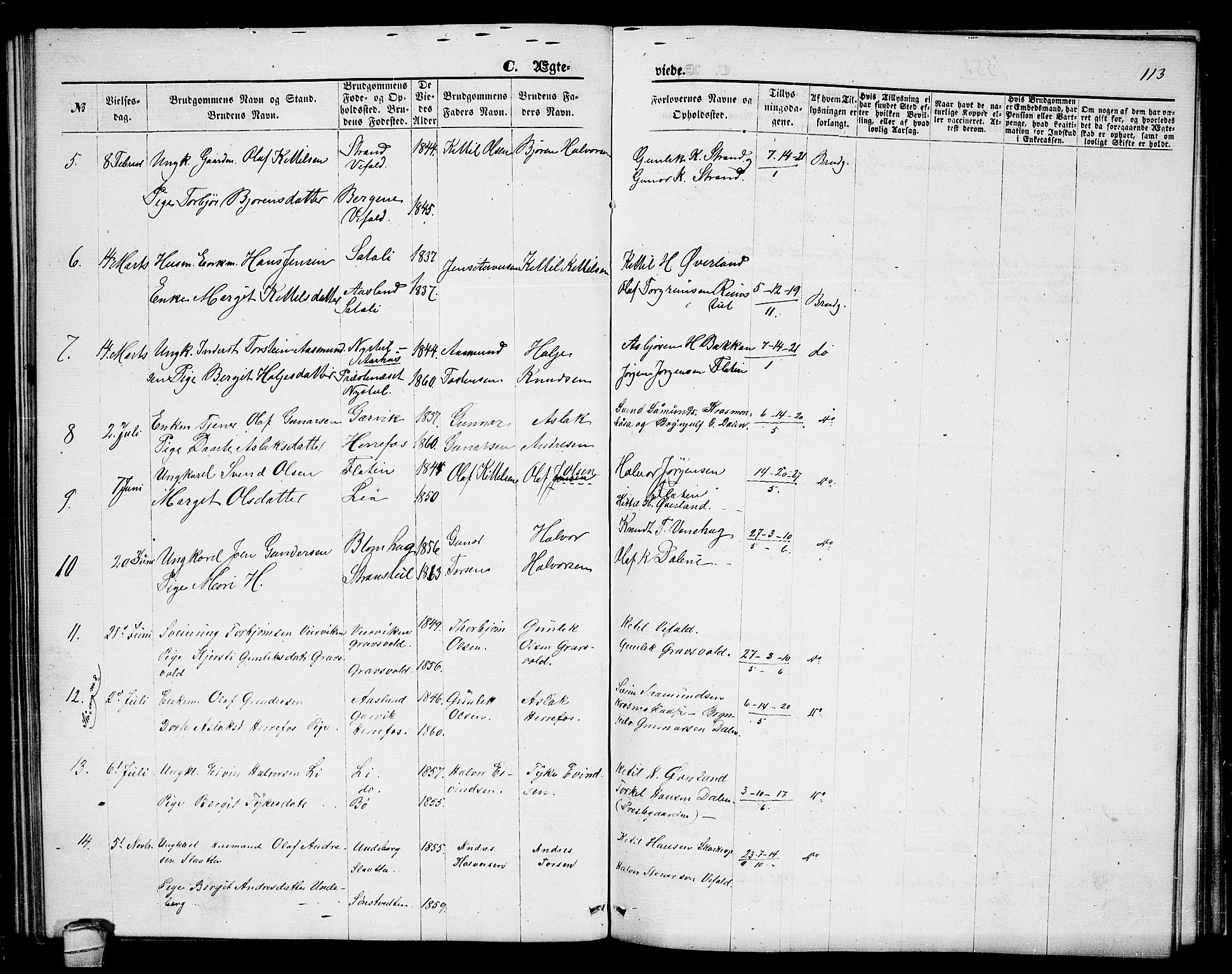 Seljord kirkebøker, AV/SAKO-A-20/G/Ga/L0004: Klokkerbok nr. I 4, 1873-1886, s. 113