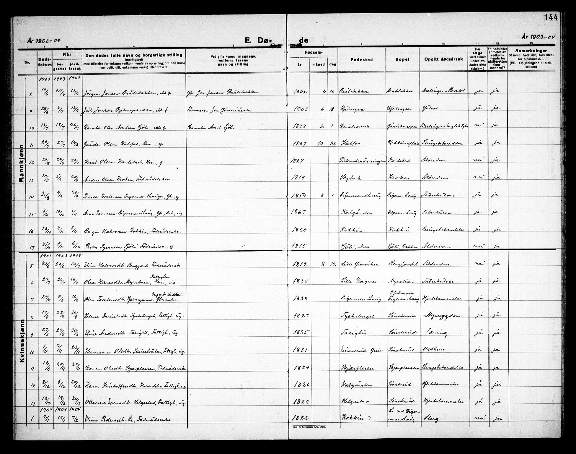 Åsnes prestekontor, SAH/PREST-042/H/Ha/Haa/L0000D: Ministerialbok nr. 0B, 1890-1929, s. 144