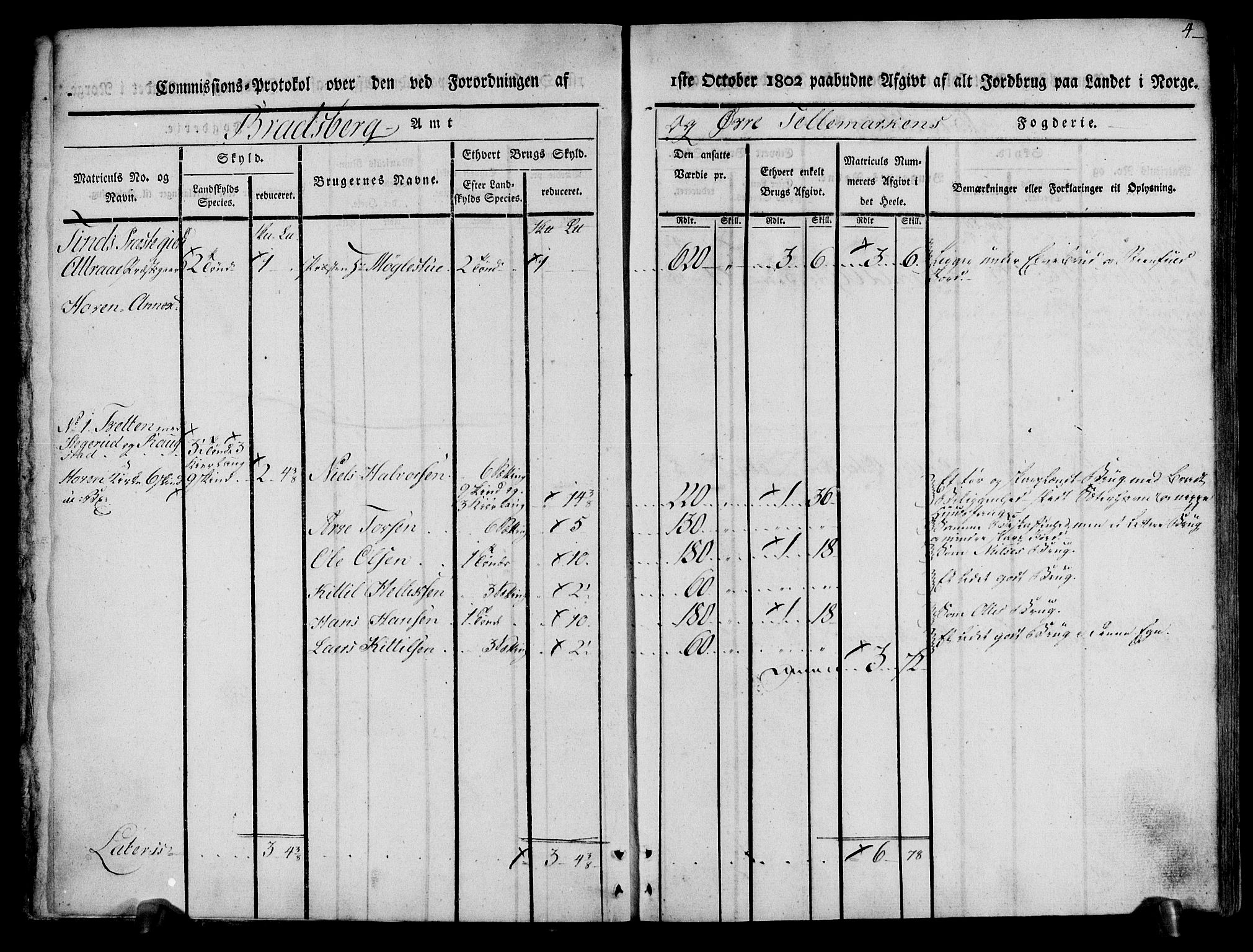 Rentekammeret inntil 1814, Realistisk ordnet avdeling, AV/RA-EA-4070/N/Ne/Nea/L0074: Øvre Telemarken fogderi. Kommisjonsprotokoll for fogderiets østre del - Tinn, Hjartdal og Seljord prestegjeld., 1803, s. 4