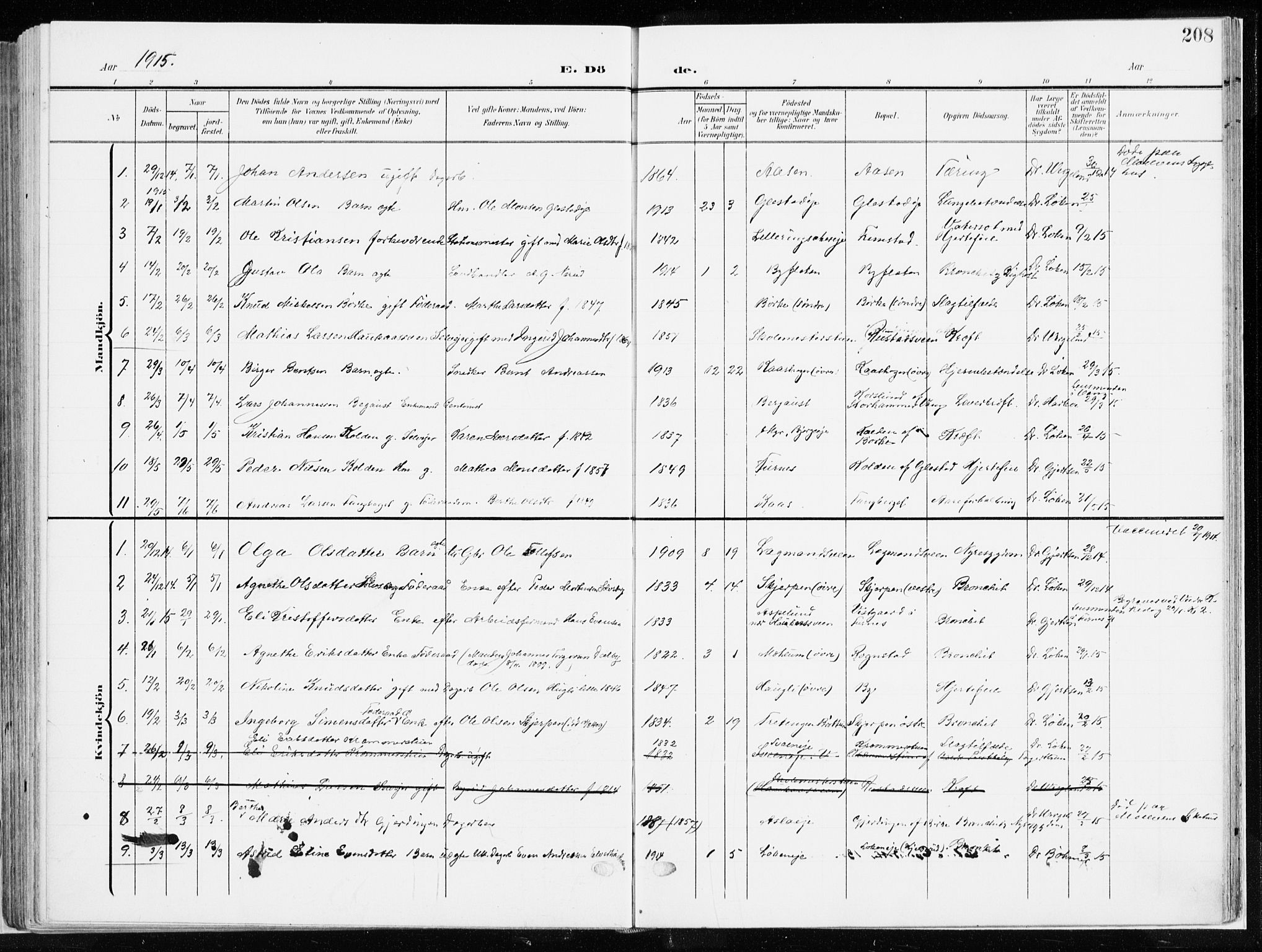 Ringsaker prestekontor, AV/SAH-PREST-014/K/Ka/L0019: Ministerialbok nr. 19, 1905-1920, s. 208