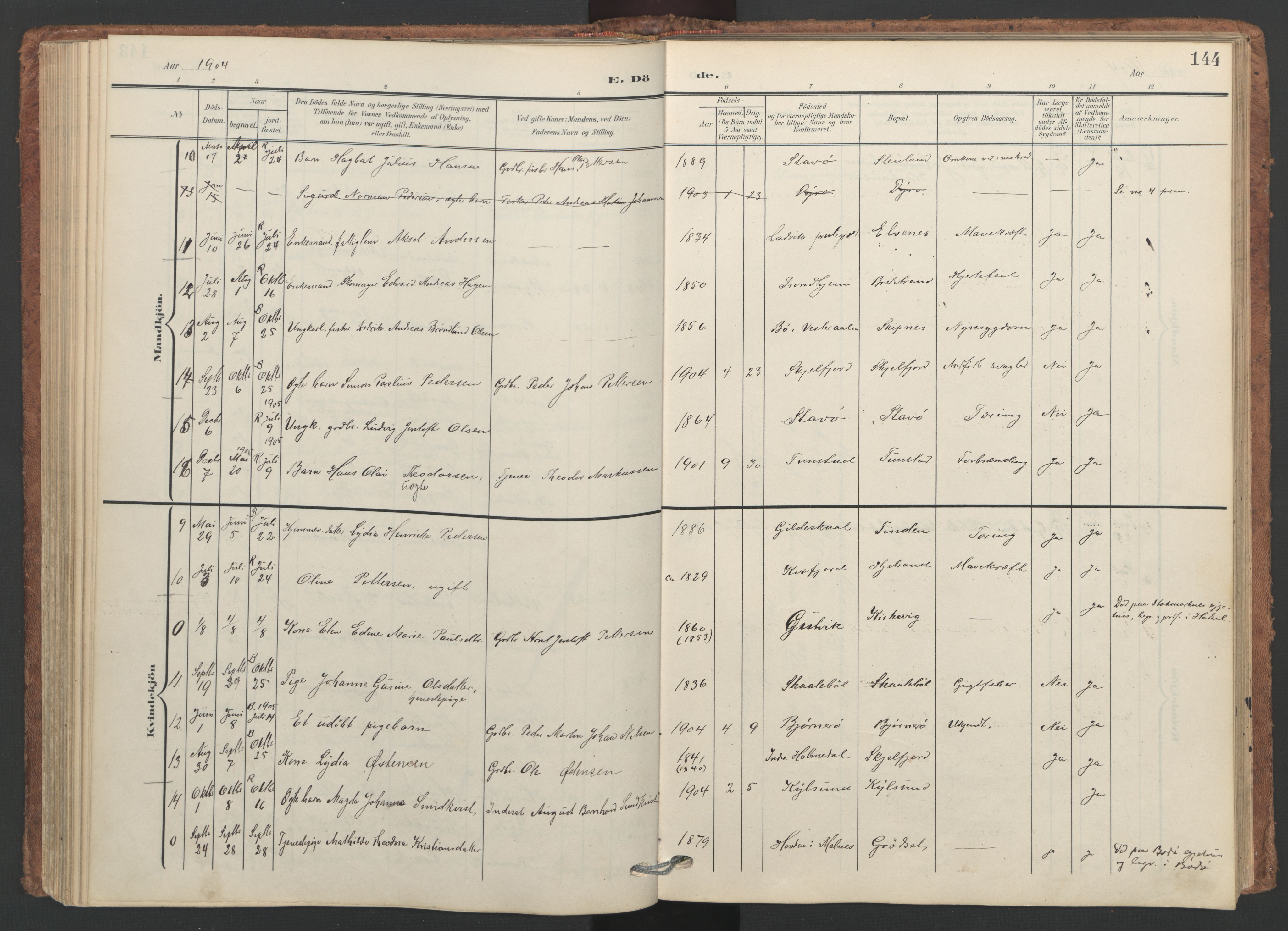 Ministerialprotokoller, klokkerbøker og fødselsregistre - Nordland, AV/SAT-A-1459/893/L1339: Ministerialbok nr. 893A11, 1904-1914, s. 144