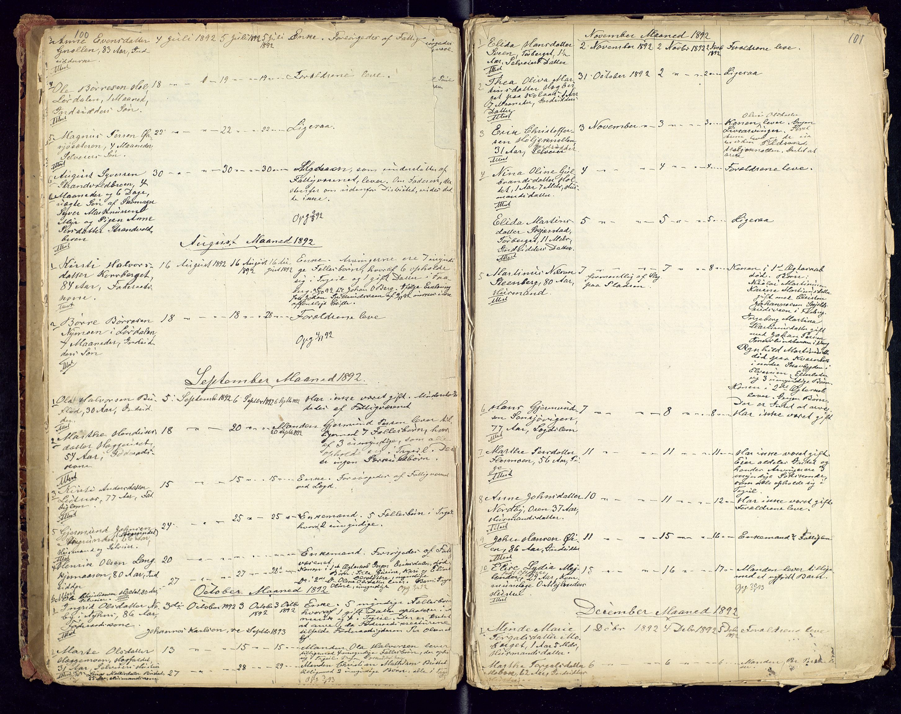 Trysil lensmannskontor, AV/SAH-LHT-026/H/Ha/L0001: Dødsfallsprotokoll, 1875-1901, s. 100-101