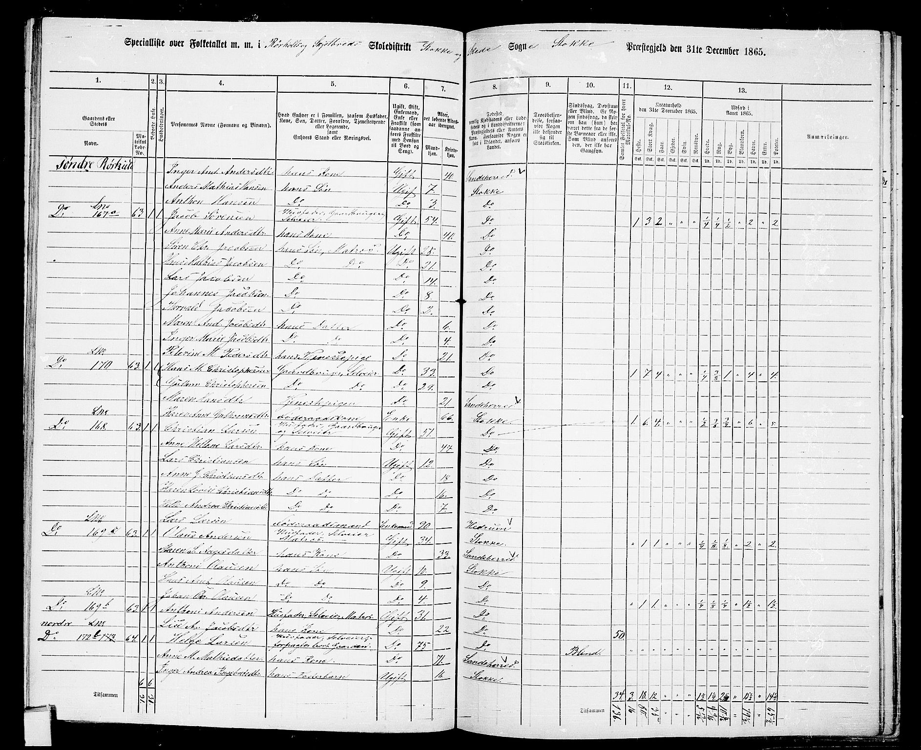 RA, Folketelling 1865 for 0720P Stokke prestegjeld, 1865, s. 110