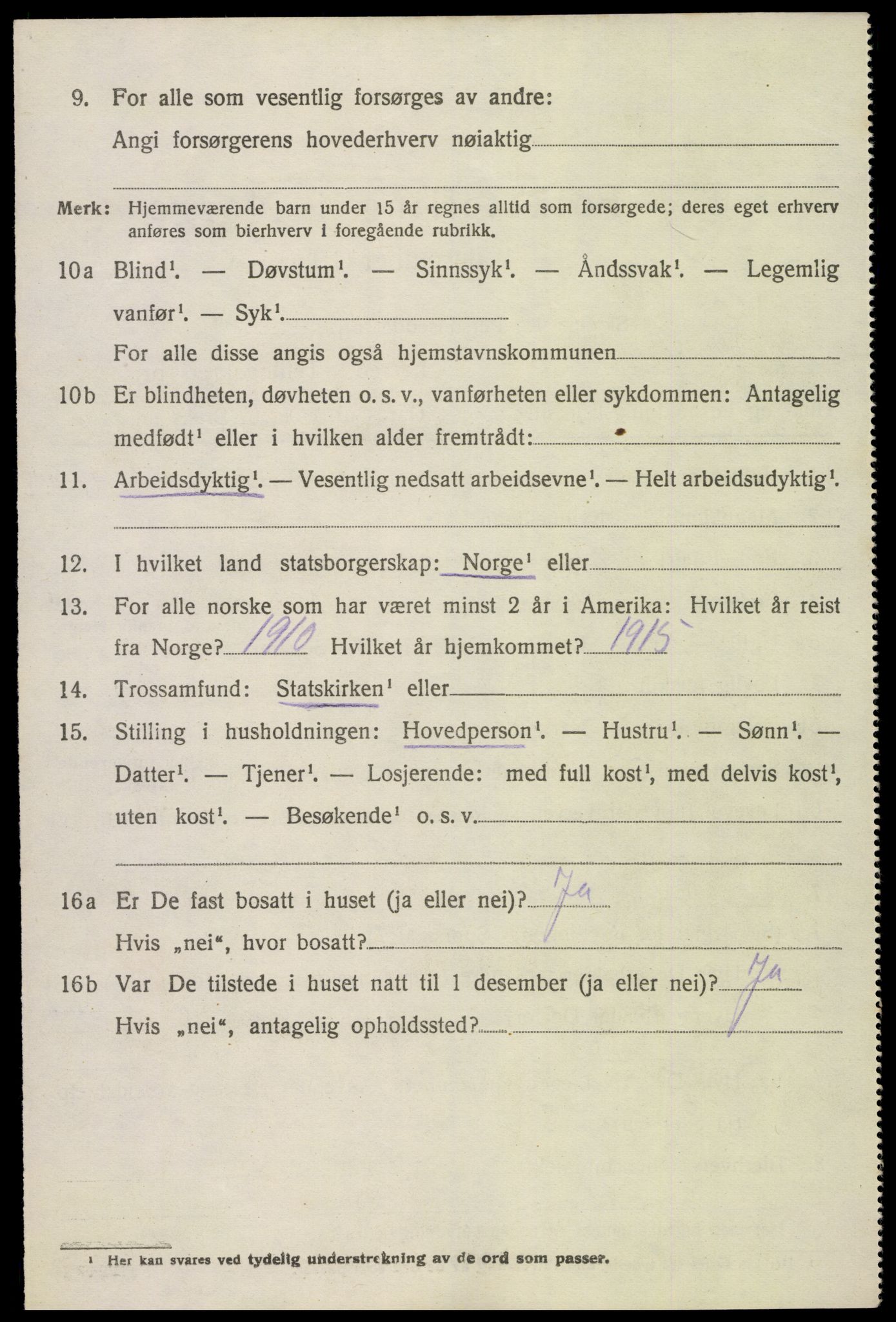 SAK, Folketelling 1920 for 0936 Hornnes herred, 1920, s. 938