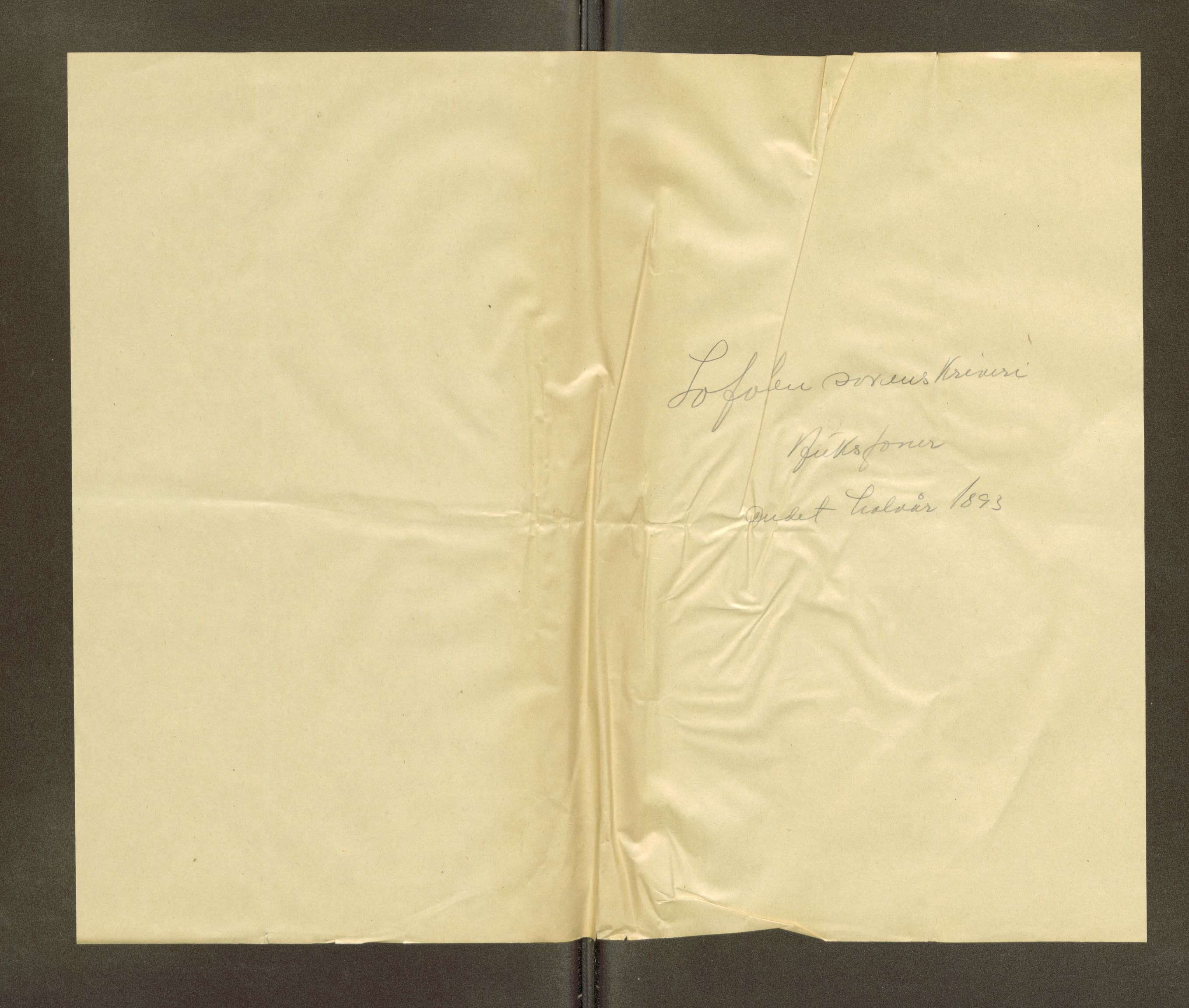 Lofoten sorenskriveri, AV/SAT-A-0017/1/5/5B/L0013: Auksjonsdokumenter, 1893, s. 3