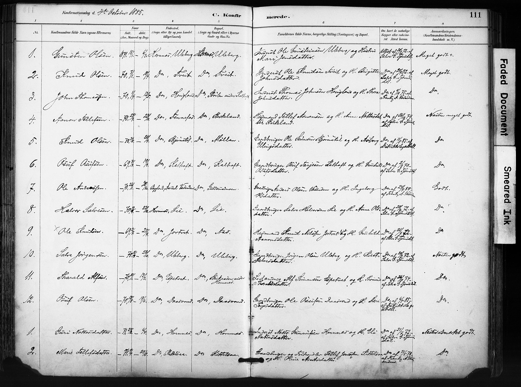 Evje sokneprestkontor, SAK/1111-0008/F/Fa/Fab/L0003: Ministerialbok nr. A 3, 1884-1909, s. 111