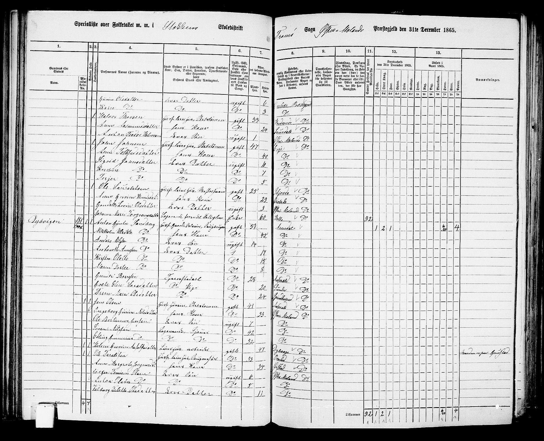 RA, Folketelling 1865 for 0918P Austre Moland prestegjeld, 1865, s. 120