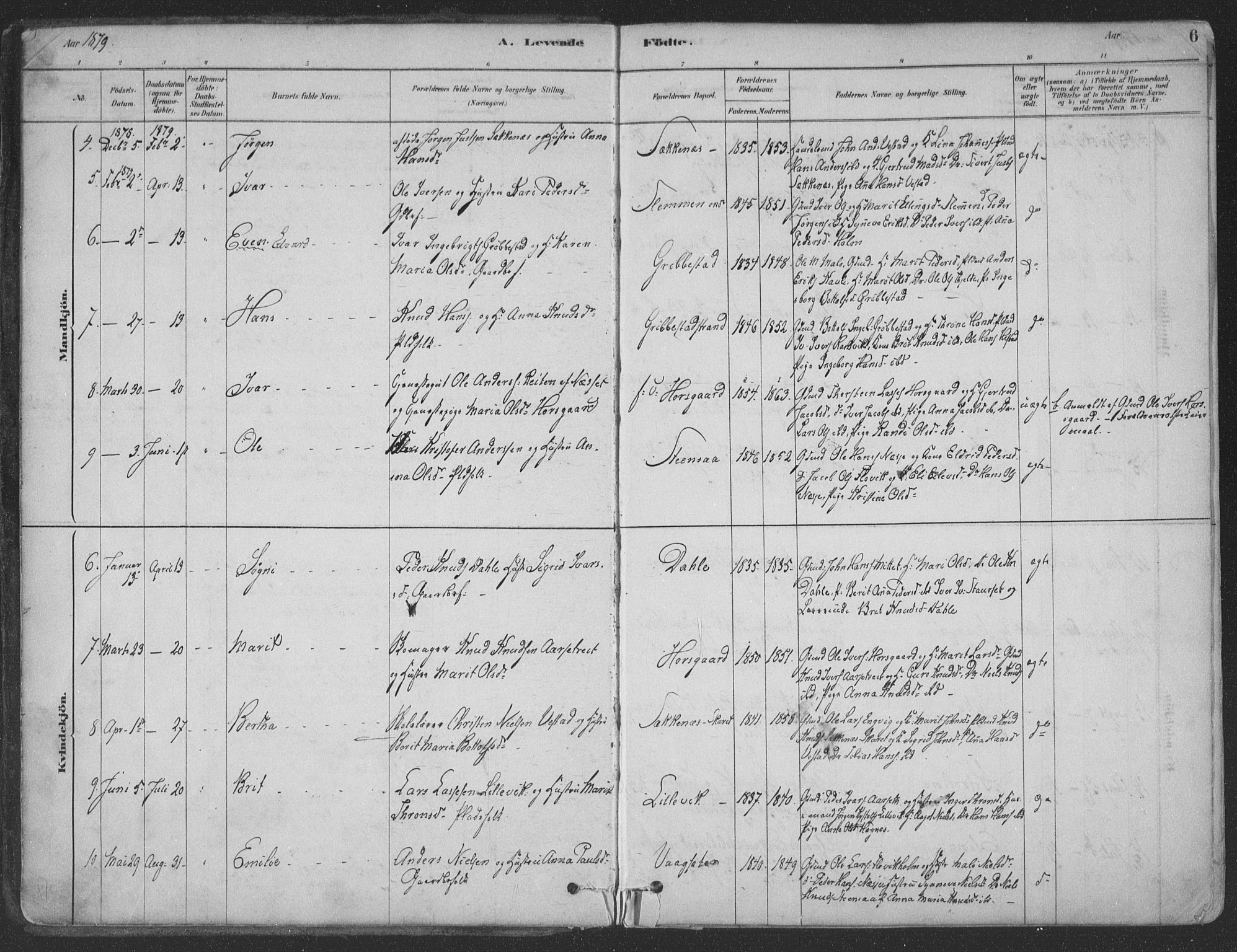 Ministerialprotokoller, klokkerbøker og fødselsregistre - Møre og Romsdal, SAT/A-1454/547/L0604: Ministerialbok nr. 547A06, 1878-1906, s. 6