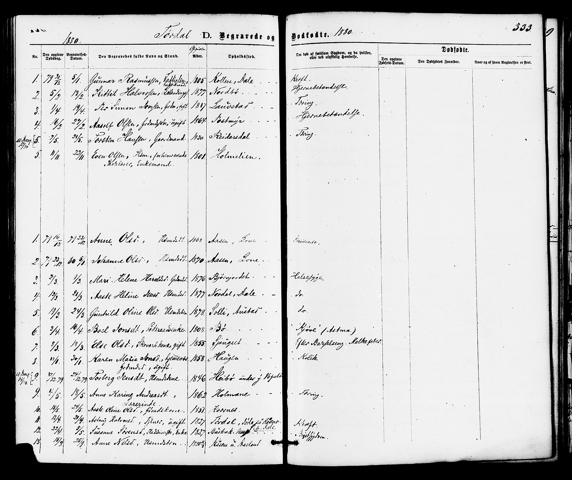 Drangedal kirkebøker, AV/SAKO-A-258/F/Fa/L0009: Ministerialbok nr. 9 /2, 1872-1884, s. 333